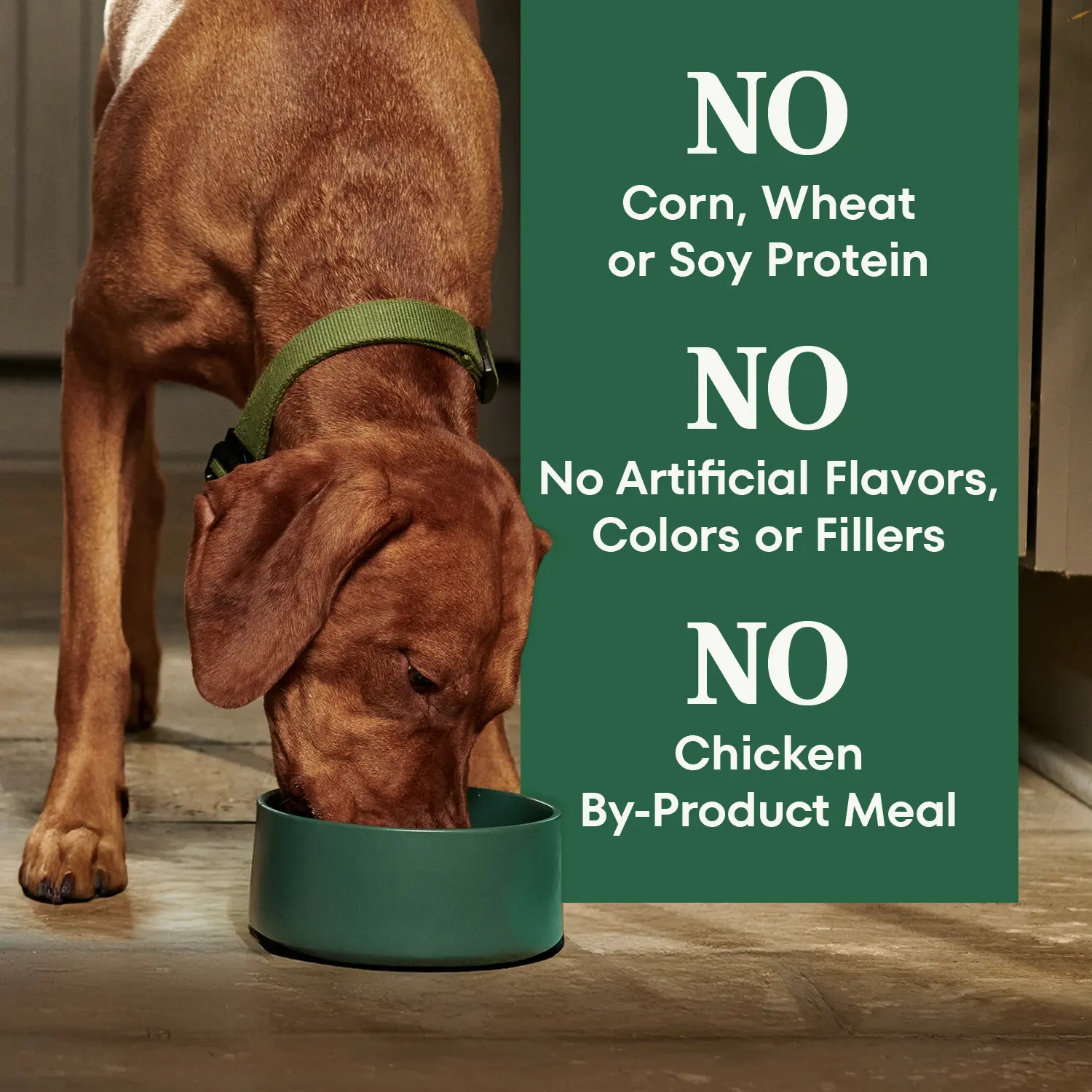 Nutro Natural Choice Beef & Brown Rice Adult Dry Dog Food 4.5-lb - Image 11