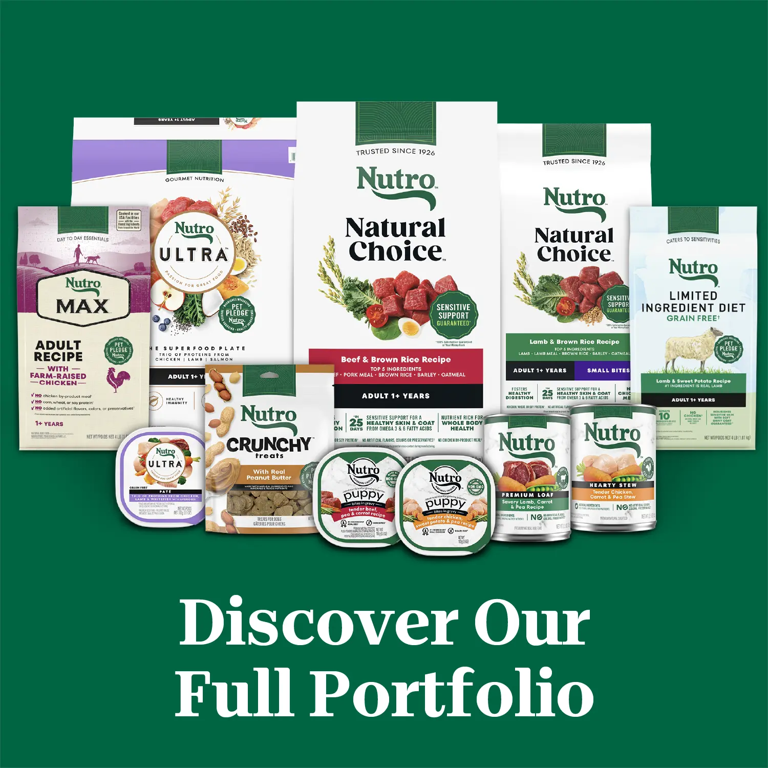 Nutro Natural Choice Beef & Brown Rice Adult Dry Dog Food 4.5-lb - Image 12