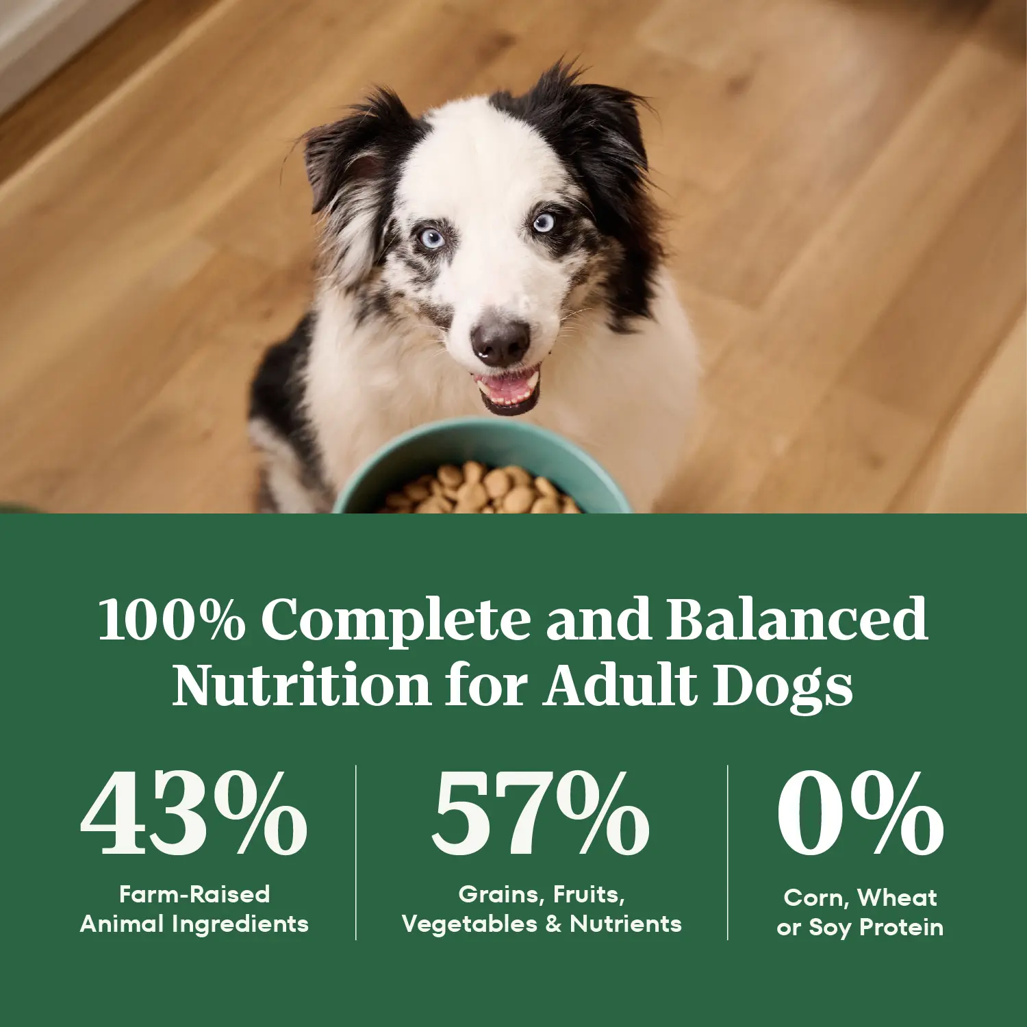 Nutro Natural Choice Beef & Brown Rice Adult Dry Dog Food 4.5-lb - Image 6