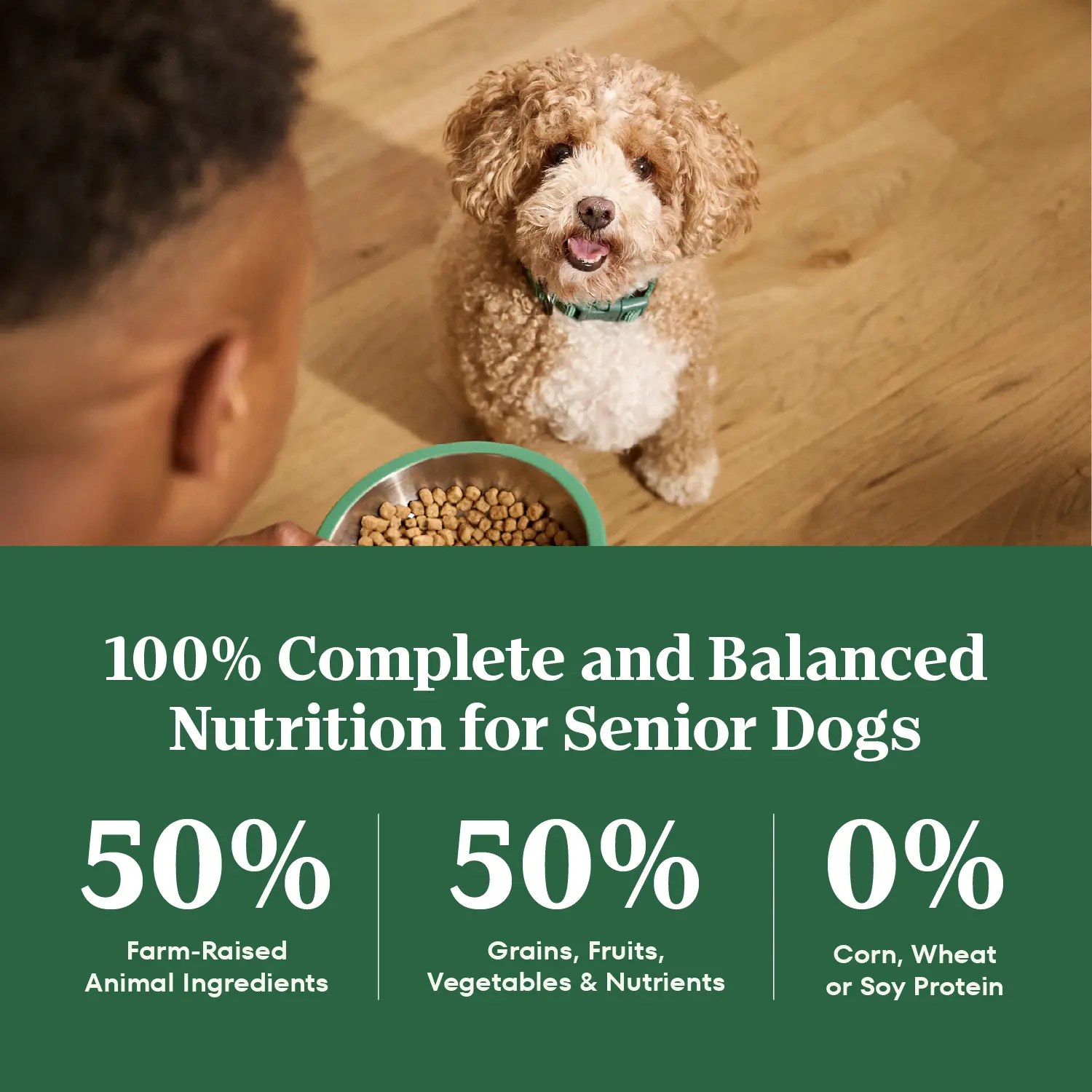 Nutro Natural Choice Chicken & Brown Rice Small Breed Senior Dry Dog Food 5-lb - Image 6