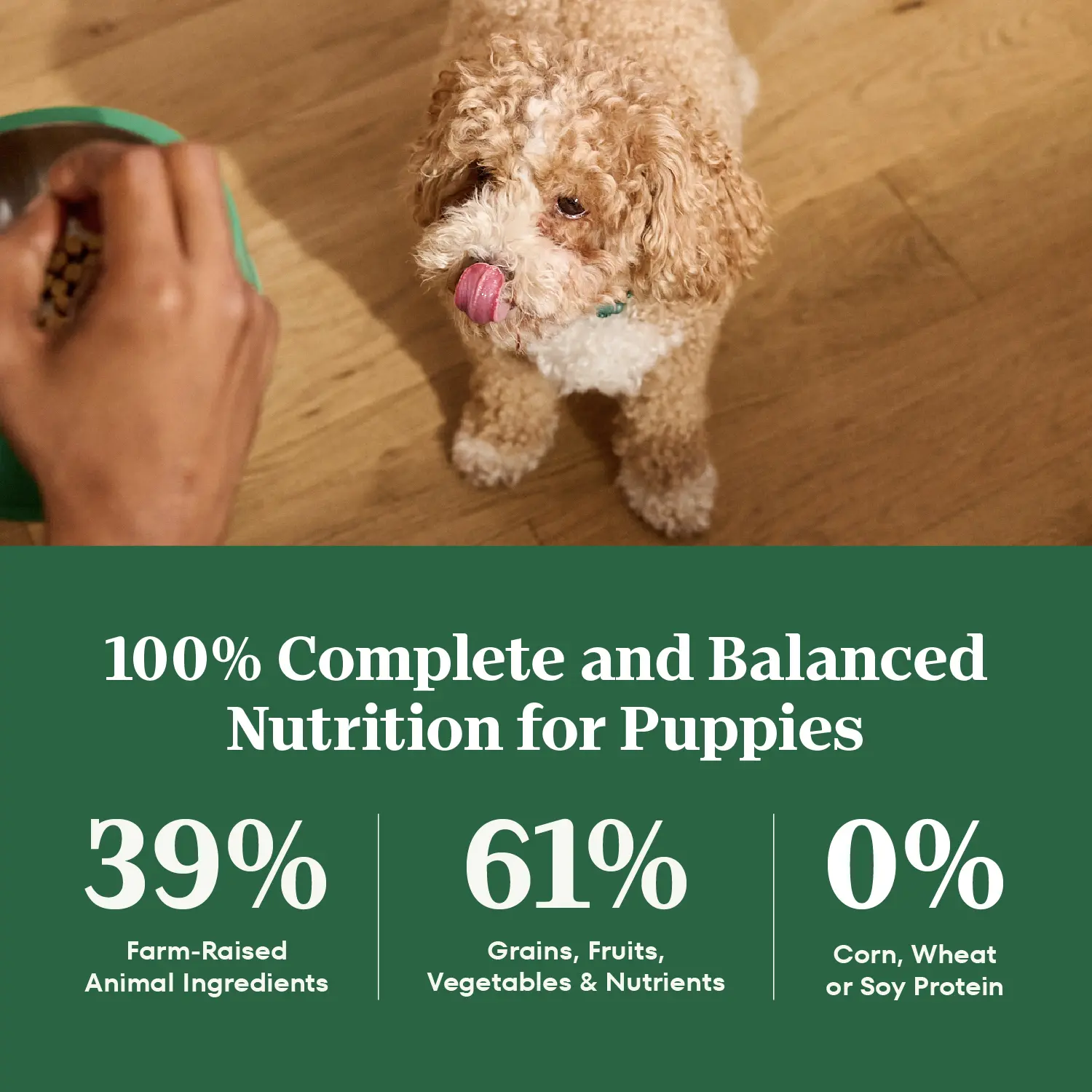 Nutro Natural Choice Lamb & Brown Rice Puppy Dry Food 4.5-lb - Image 6