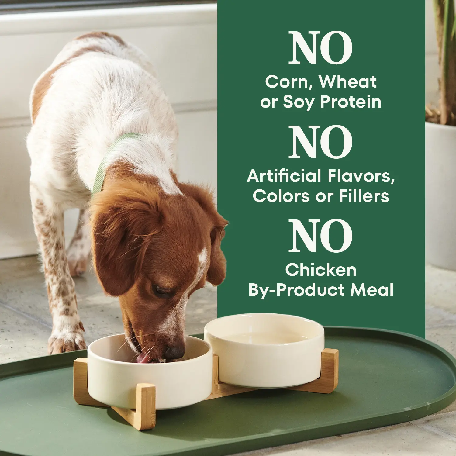 Nutro Natural Choice Lamb & Brown Rice Small Bites Adult Dry Dog Food 5-lb - Image 10