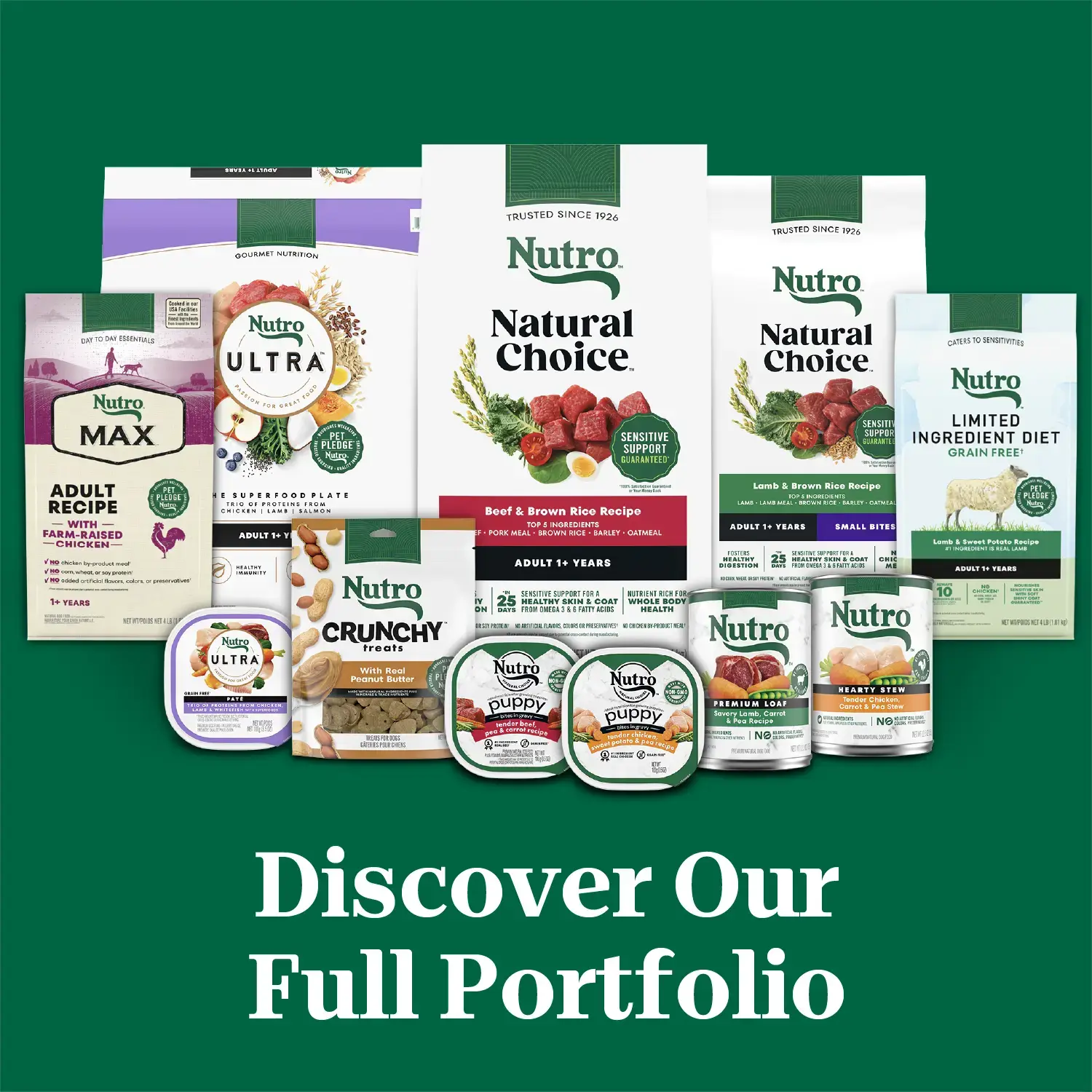Nutro Natural Choice Lamb & Brown Rice Small Bites Adult Dry Dog Food 5-lb - Image 11