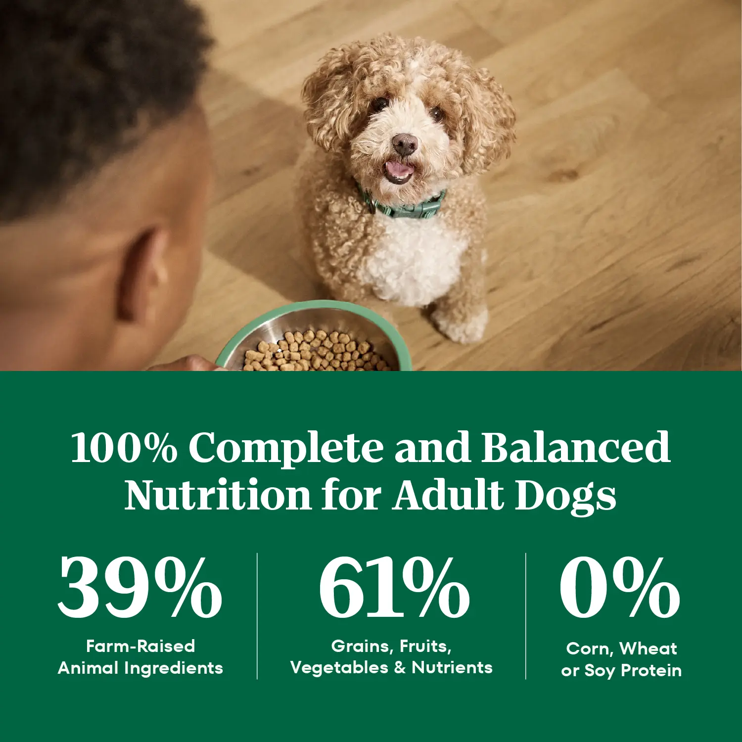 Nutro Natural Choice Lamb & Brown Rice Small Bites Adult Dry Dog Food 5-lb - Image 5
