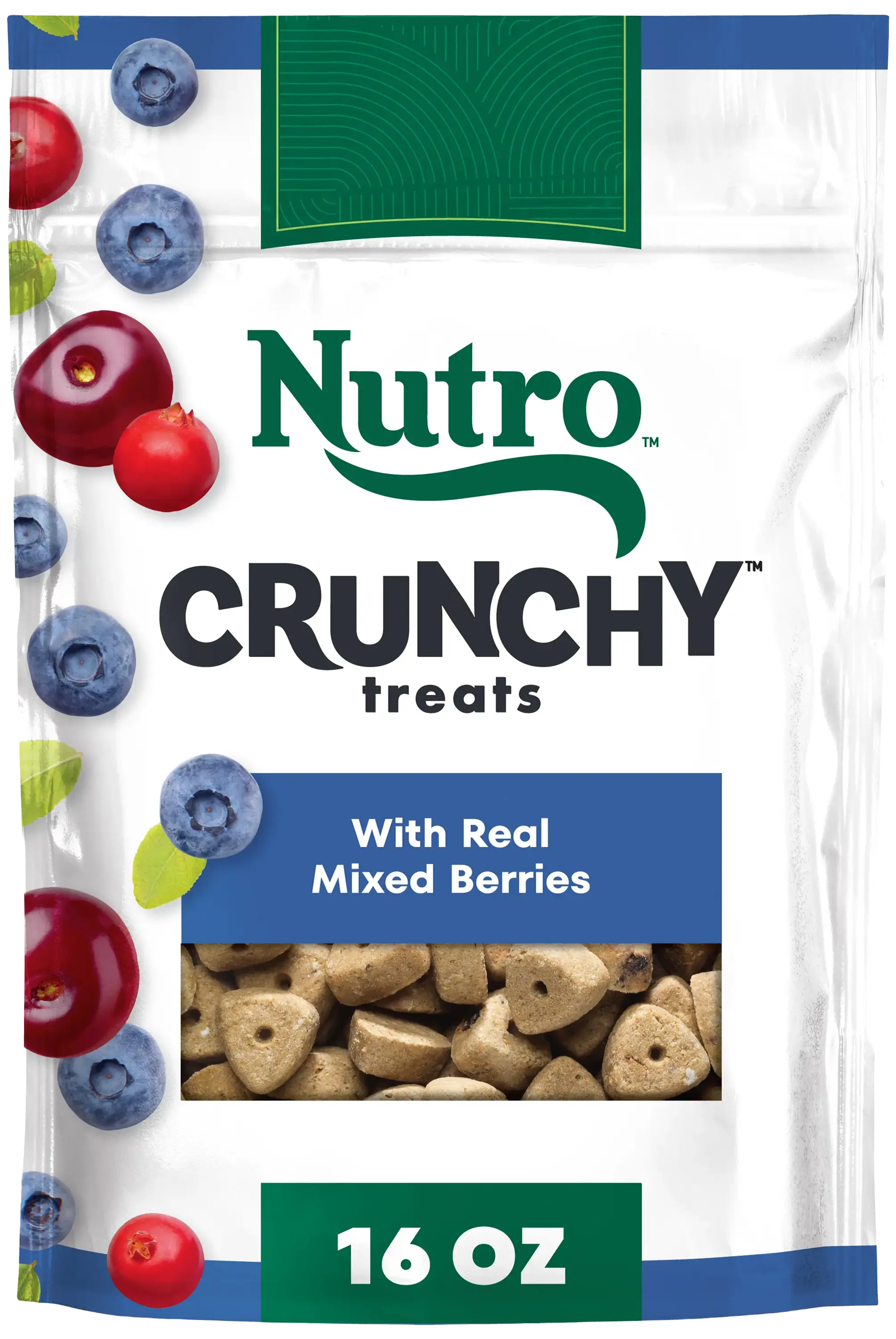 Nutro Natural Choice Mixed Berry Crunchy Dog Treats 16-oz