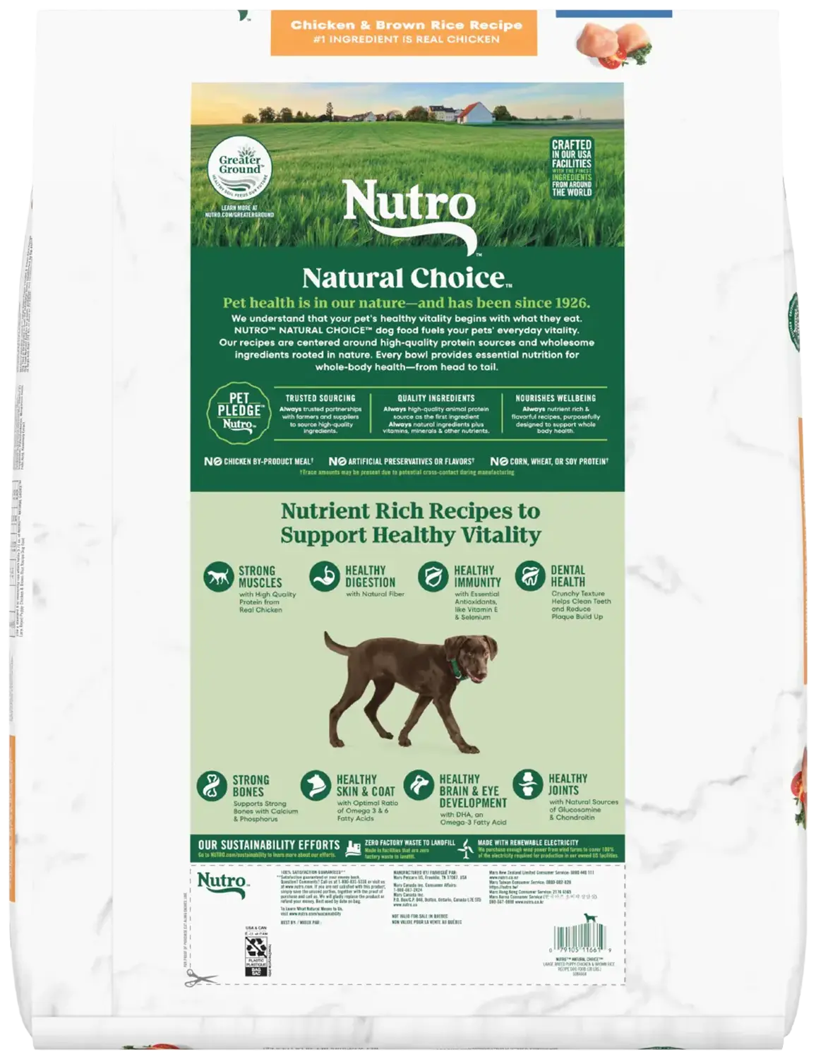 Nutro Natural Choice Chicken & Brown Rice Large Breed Puppy Dry Dog Food 30-lb - Image 2
