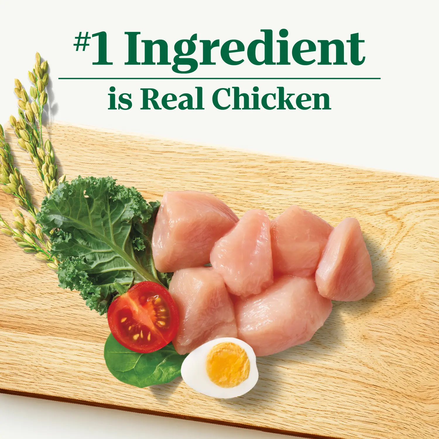 Nutro Natural Choice Chicken & Brown Rice Small Bites Adult Dry Dog Food 30-lb - Image 3