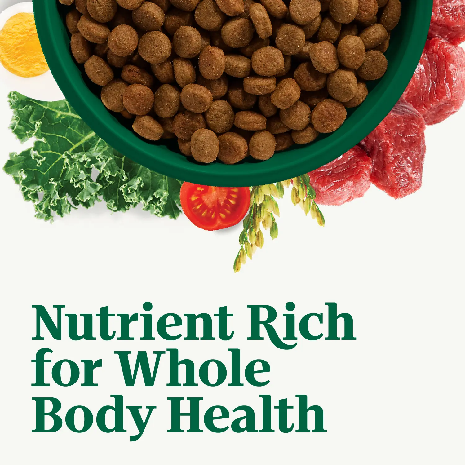 Nutro Natural Choice Chicken & Brown Rice Small Breed Adult Dry Dog Food 5-lb - Image 6