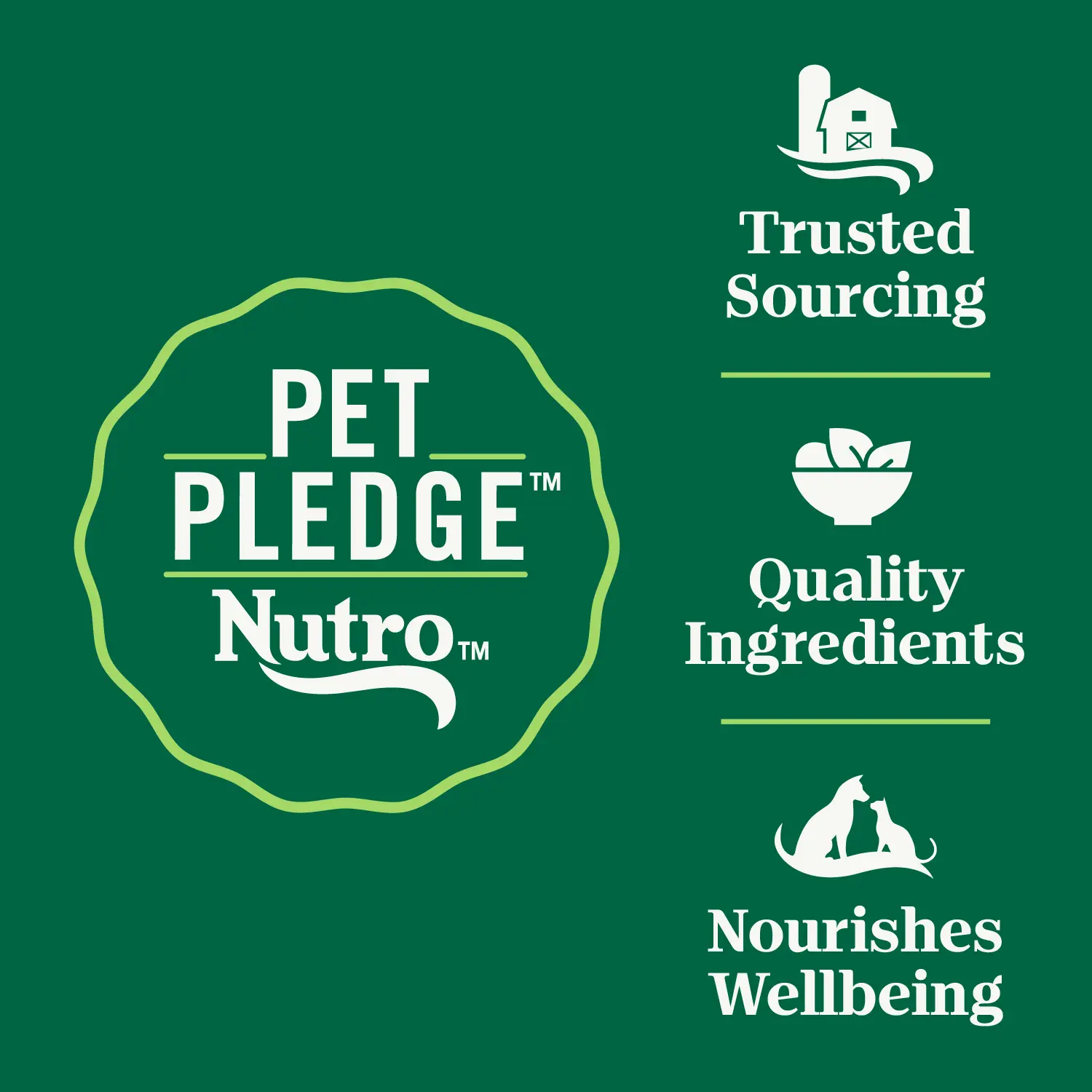 Nutro Wholesome Essentials Chicken & Brown Rice Hairball Control Adult Dry Cat Food 3-lb - Image 3