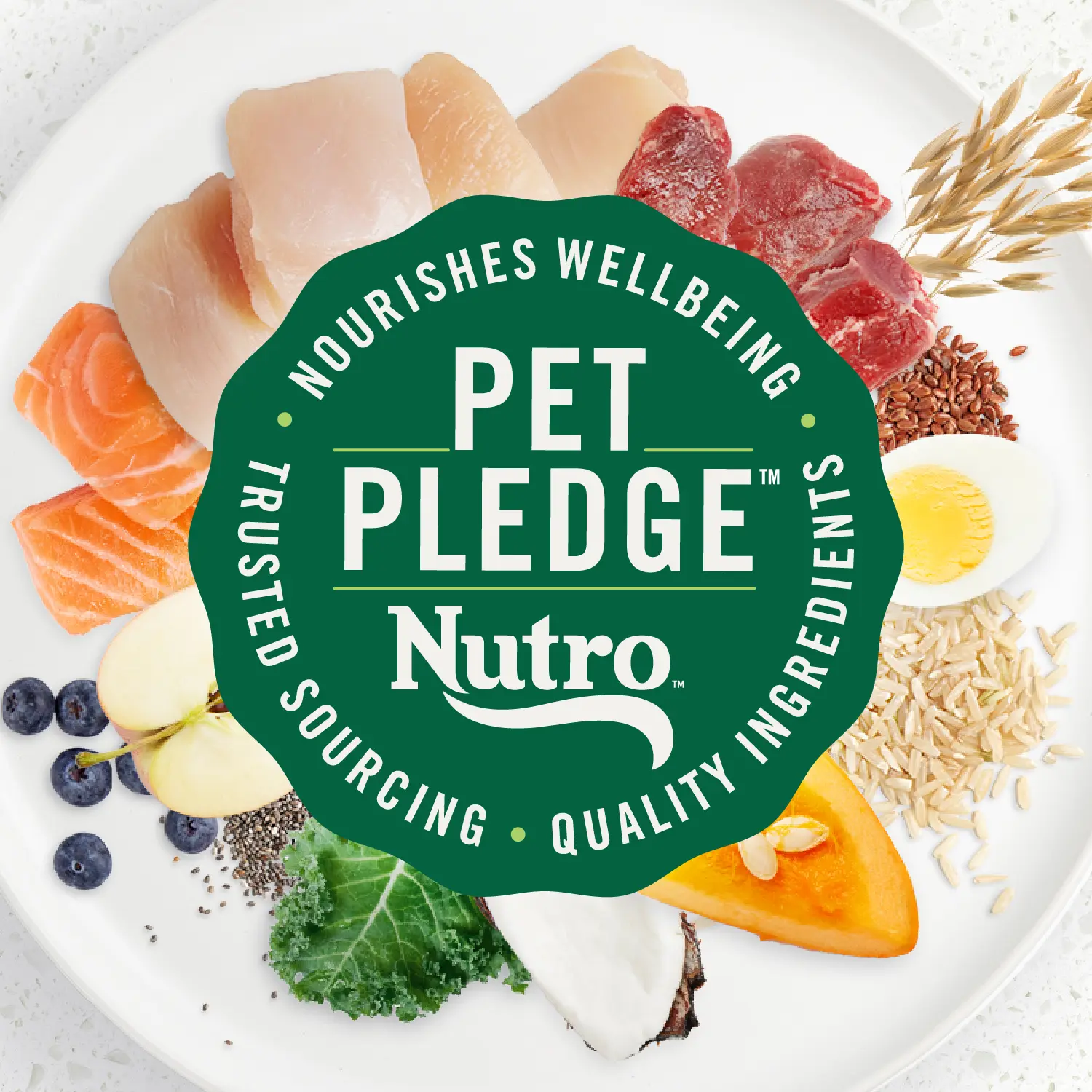 Nutro Ultra Small Breed Adult Dry Dog Food Chicken, Lamb & Salmon Plate 12-lb - Image 6