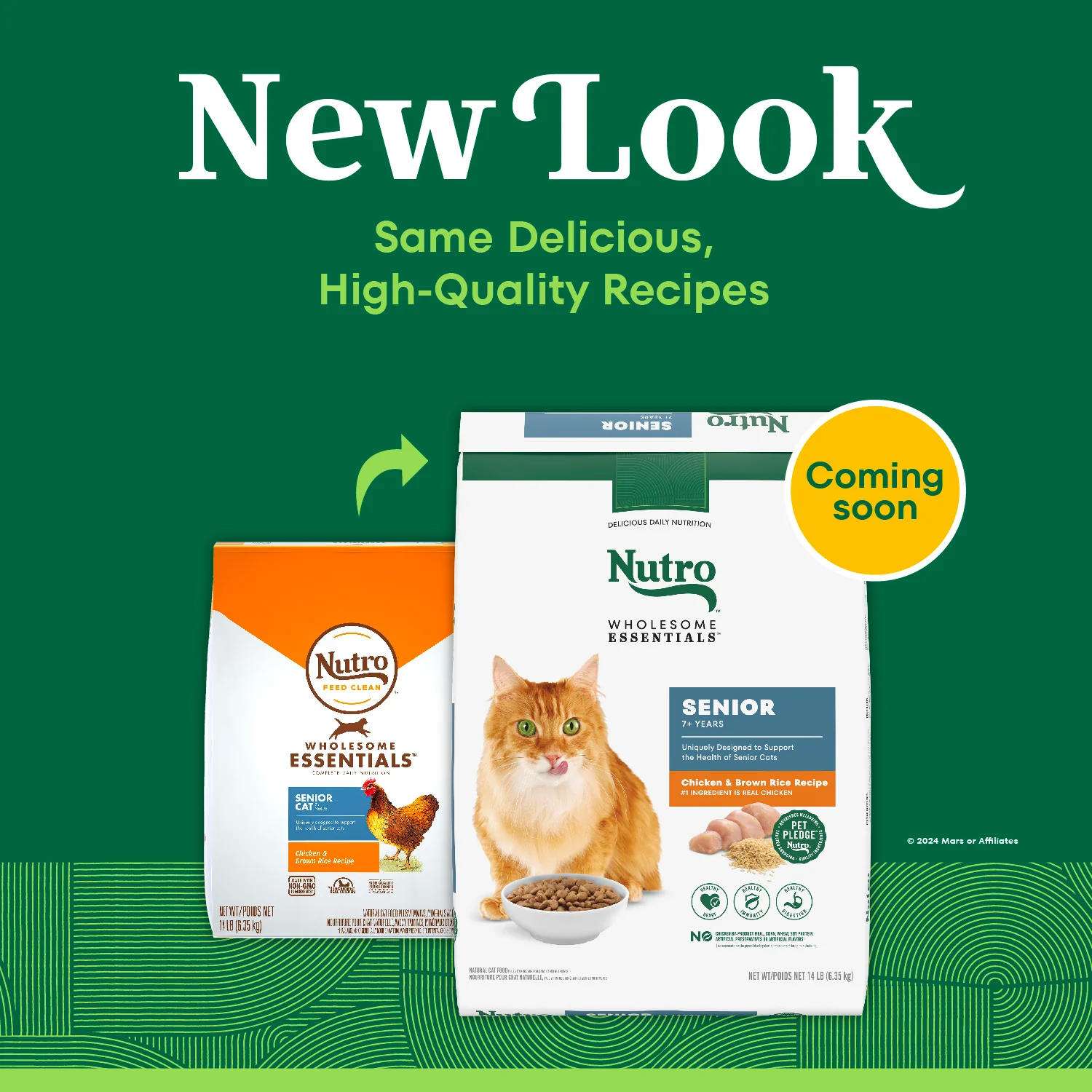 Nutro Wholesome Essentials Chicken & Brown Rice Recipe Senior Dry Cat Food 14-lb - Image 2