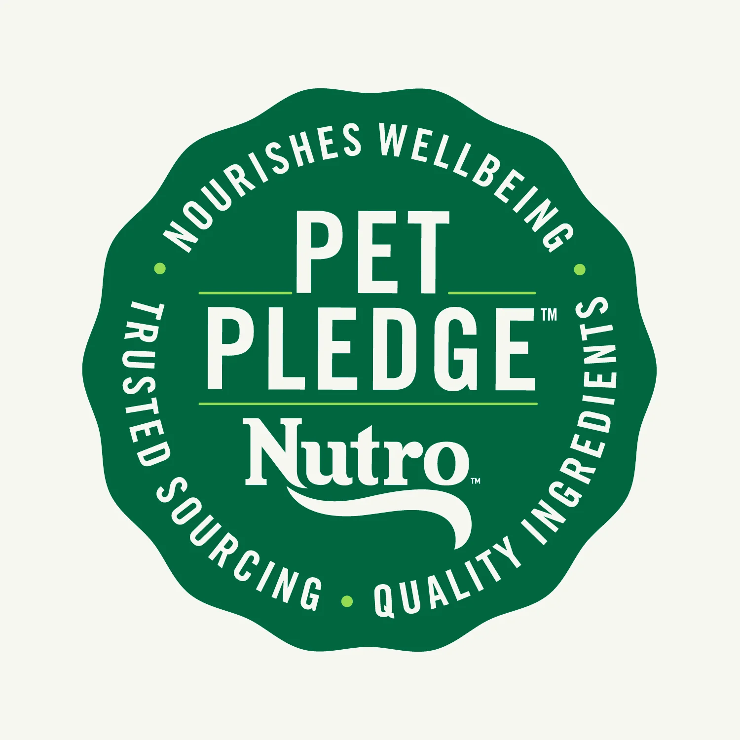 Nutro Wholesome Essentials Chicken & Brown Rice Recipe Senior Dry Cat Food 14-lb - Image 6