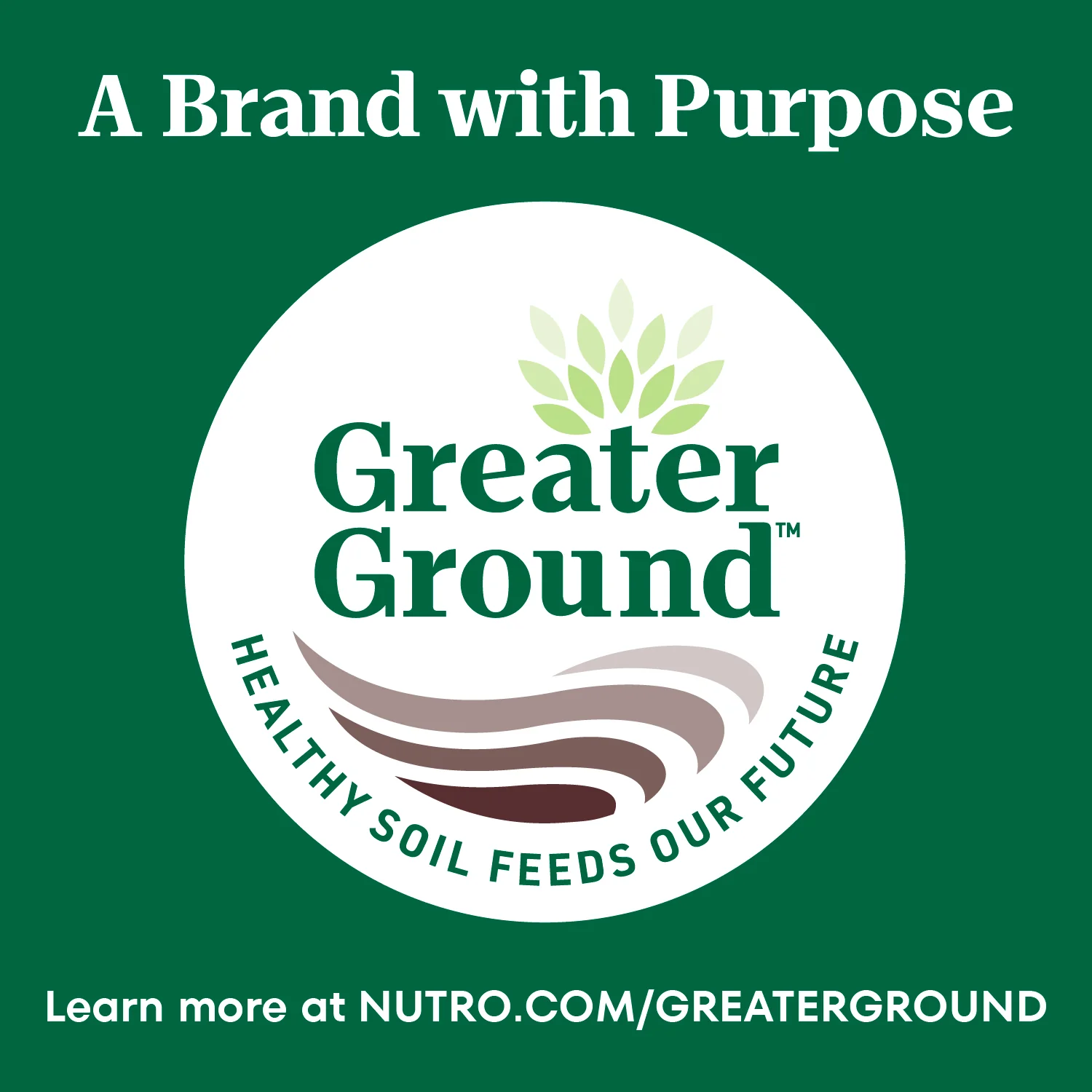 Nutro Wholesome Essentials Chicken & Brown Rice Recipe Senior Dry Cat Food 14-lb - Image 7