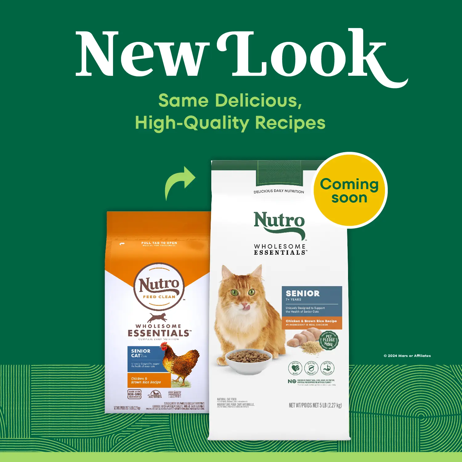 Nutro Wholesome Essentials Chicken & Brown Rice Recipe Senior Dry Cat Food 5-lb - Image 2