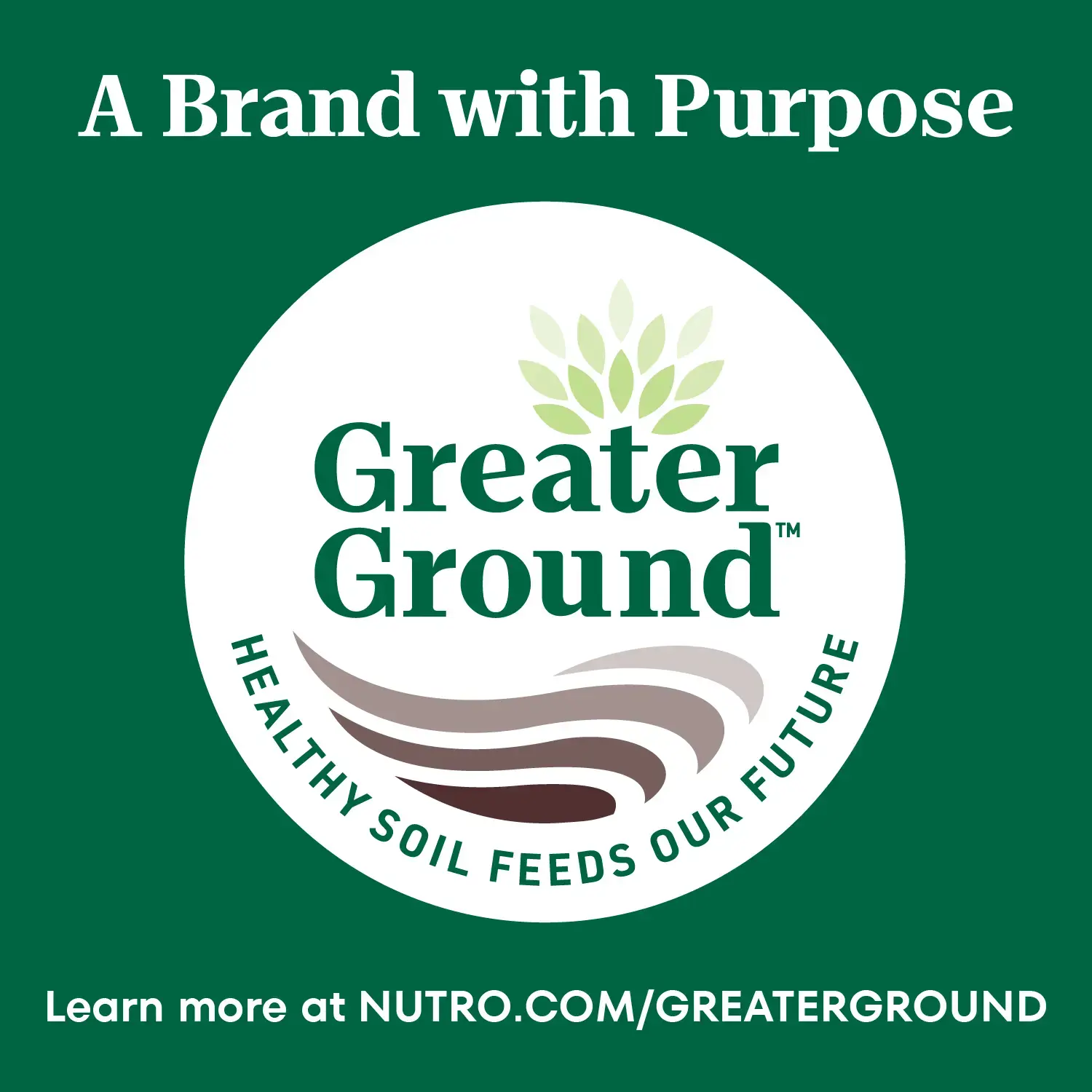 Nutro Wholesome Essentials Chicken & Brown Rice Recipe Senior Dry Cat Food 5-lb - Image 7