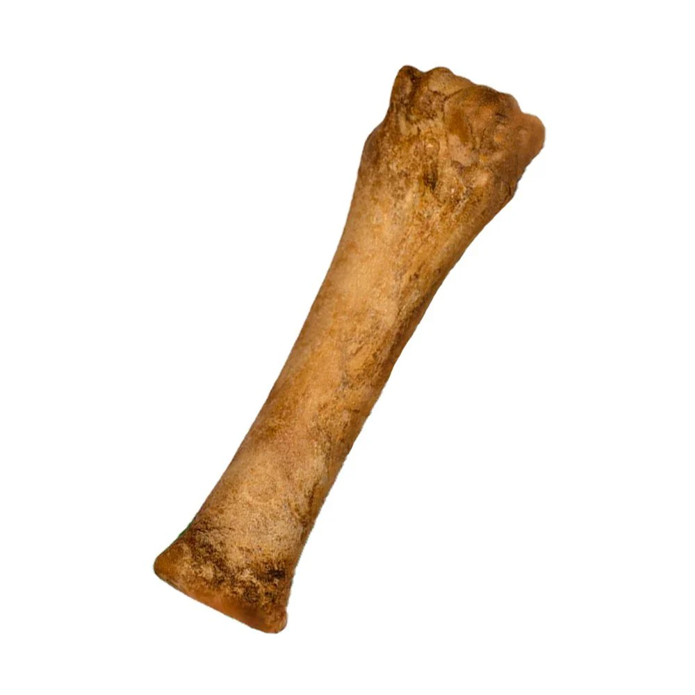 Nylabone Healthy Edibles All-Natural Long Lasting Dog Chew Treats Chicken XL/Souper - 50+ lbs - Image 7