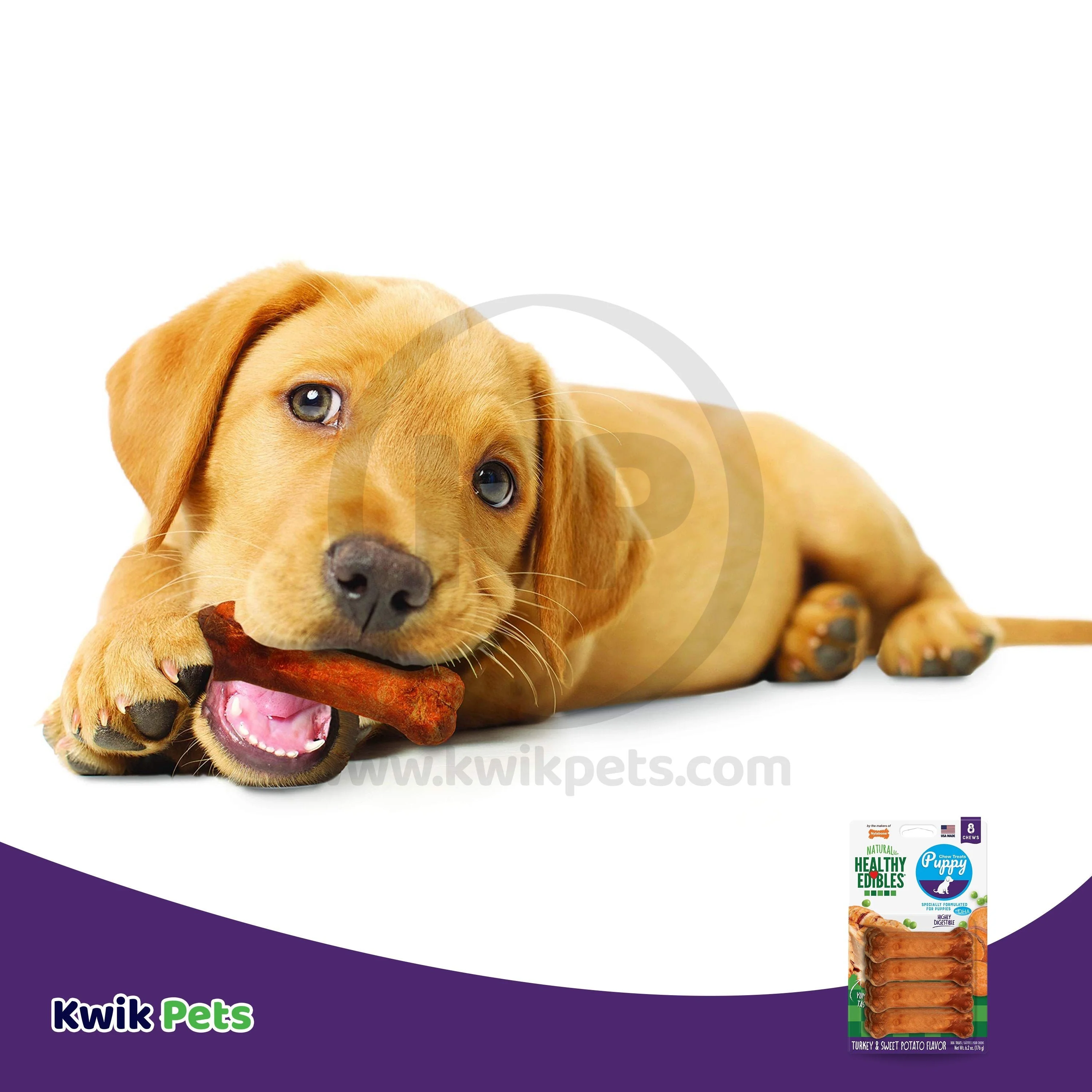 Nylabone Healthy Edibles Puppy Chew Treats Turkey & Sweet Potato XS/Petite - Up To 15 lbs 8 Count - Image 8