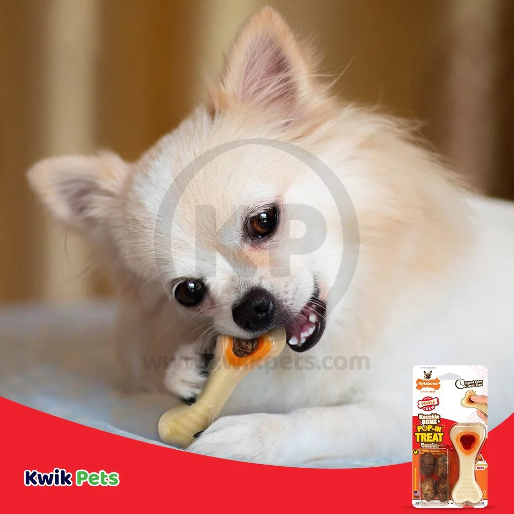 Nylabone Power Chew Knuckle Bone & Pop-In Treat Dog Toy Combo Chicken XS/Petite - Up To 15 lbs - Image 7