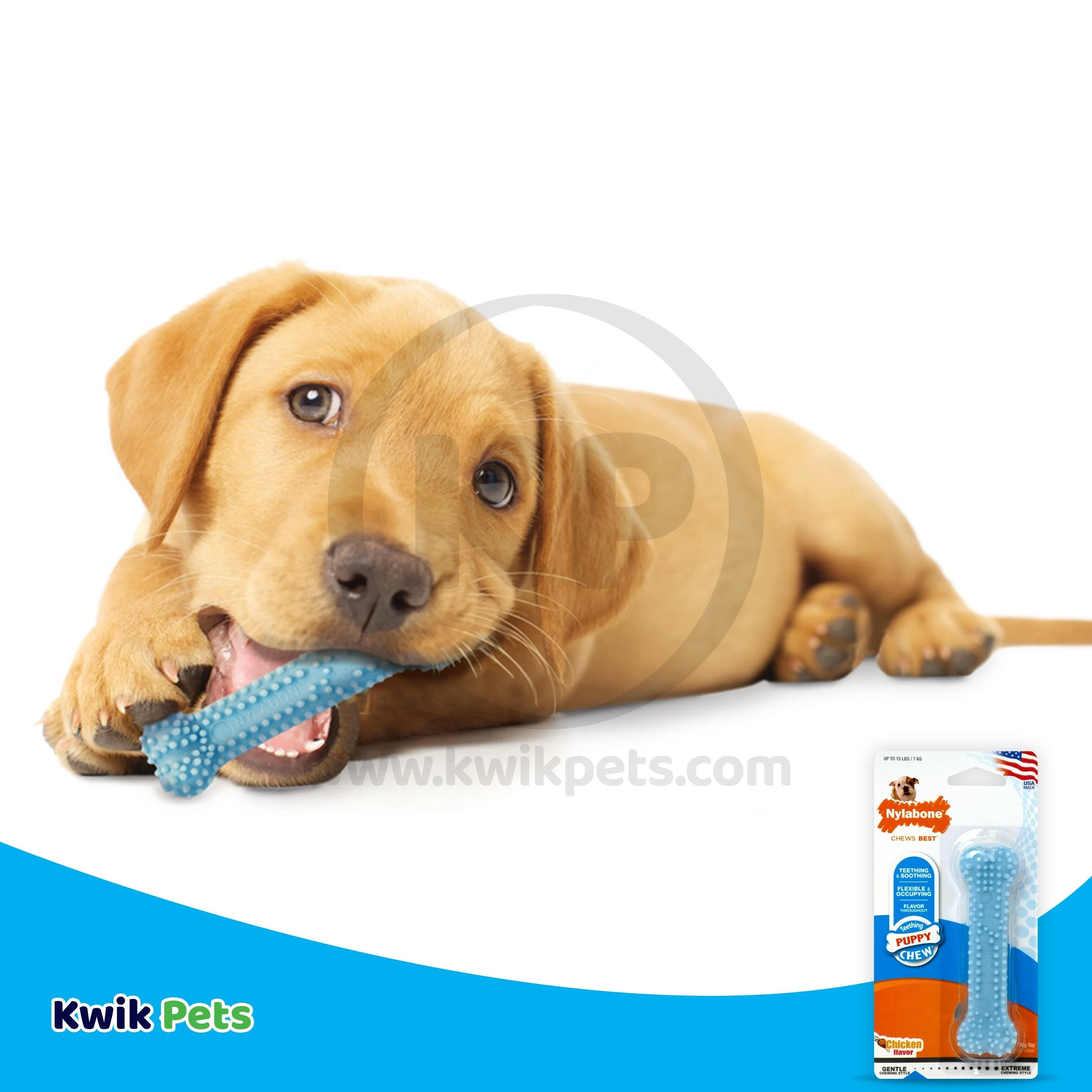 Nylabone Puppy Teething & Soothing Flexible Chew Toy Chicken Flavor Blue XS/Petite - Up To 15 lbs - Image 7