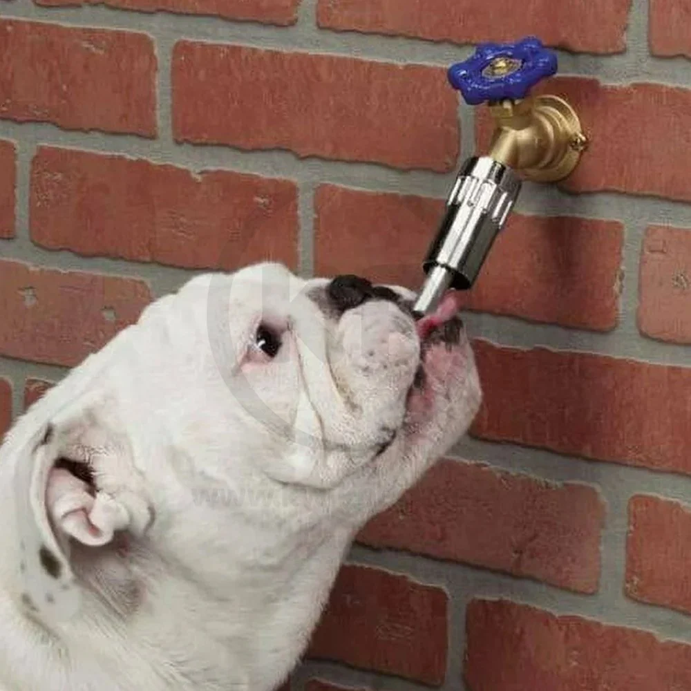 Oasis Thirst Quencher Faucet Dog Drinker Silver - Image 5