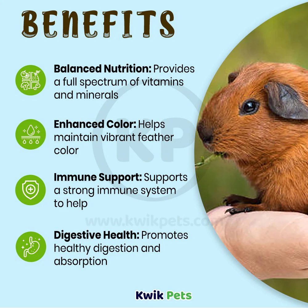Oasis Vita-Drops High Potential Daily Multivitamin for Guinea Pigs 2-oz - Image 4