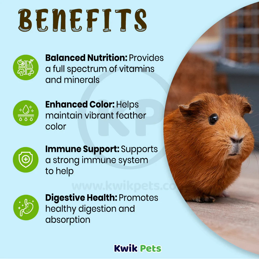 Oasis Vita-Drops High Potential Daily Multivitamin for Hamsters & Pocket Pets 2-oz - Image 4