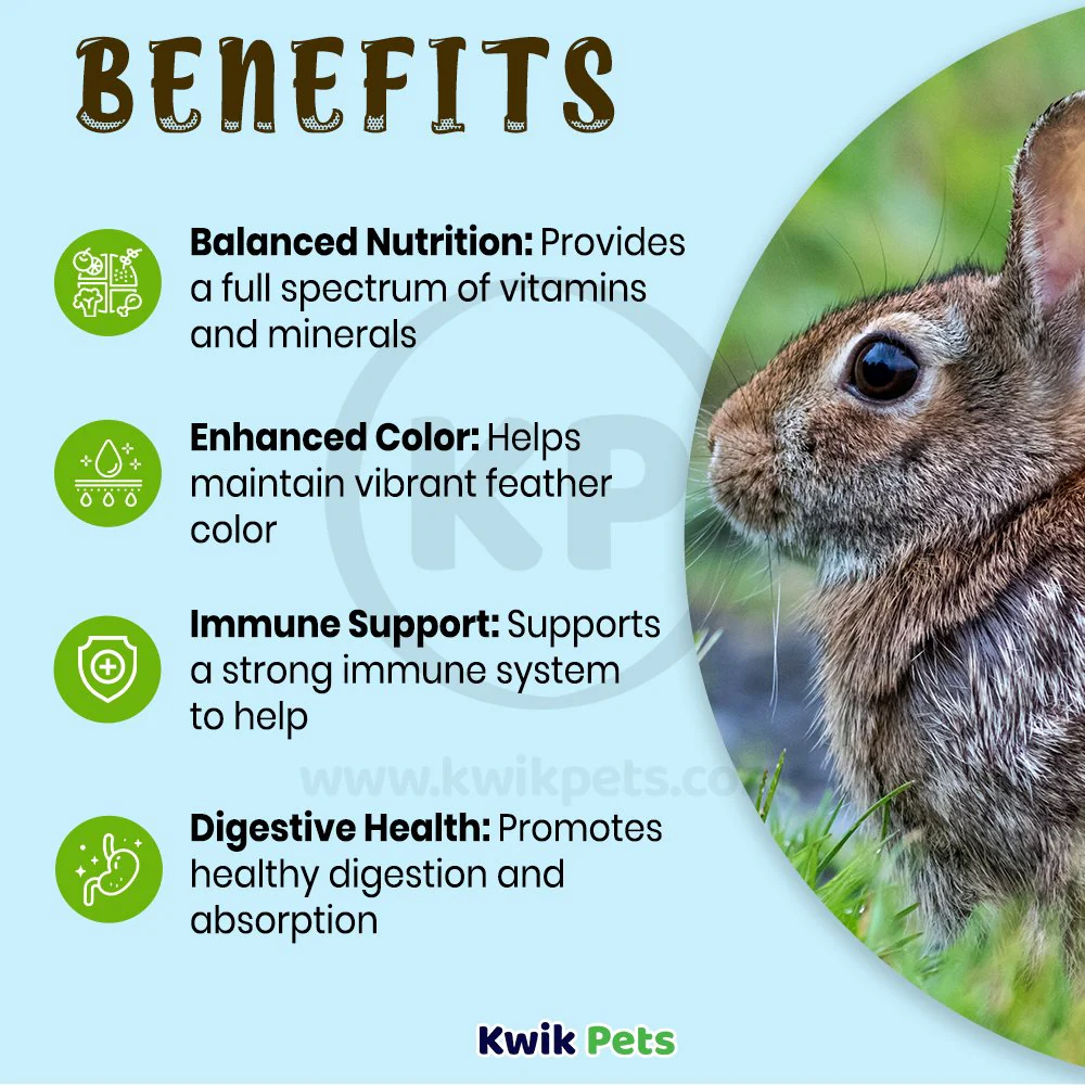 Oasis Vita-Drops High Potential Daily Multivitamin for Rabbits 2-oz - Image 4