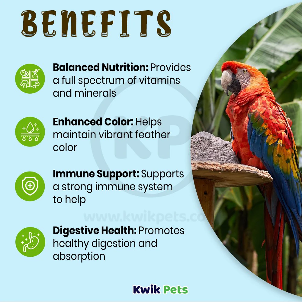 Oasis Vita Drops Multivitamin Supplement for Big Birds 2-oz - Image 3