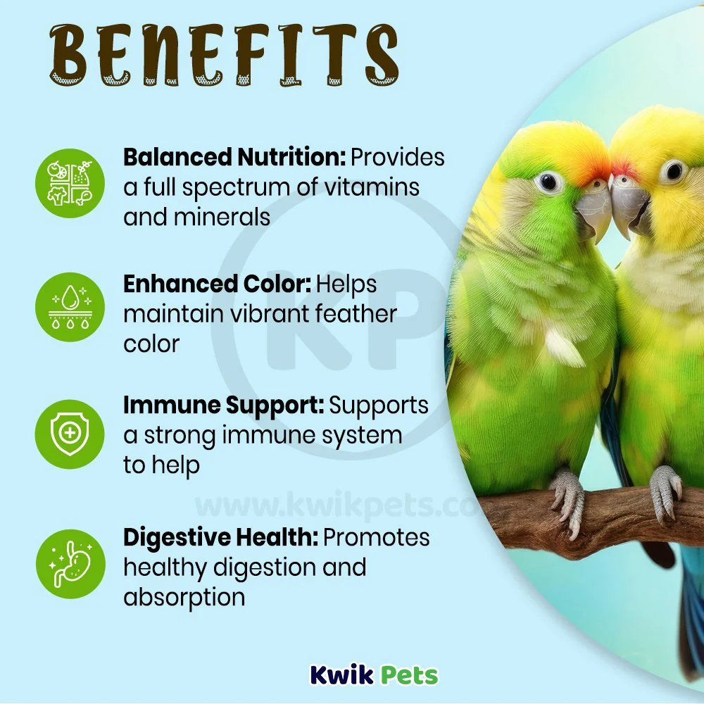 Oasis Vita Drops Multivitamin Supplement for Small Birds 2-oz - Image 4