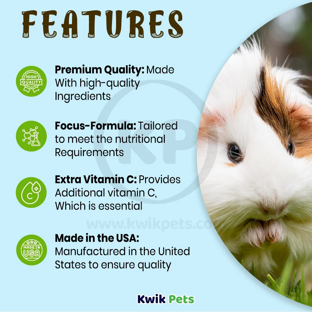 Oasis Vita-Drops Pure Vitamin C Supplement for Guinea Pigs 2-oz - Image 3