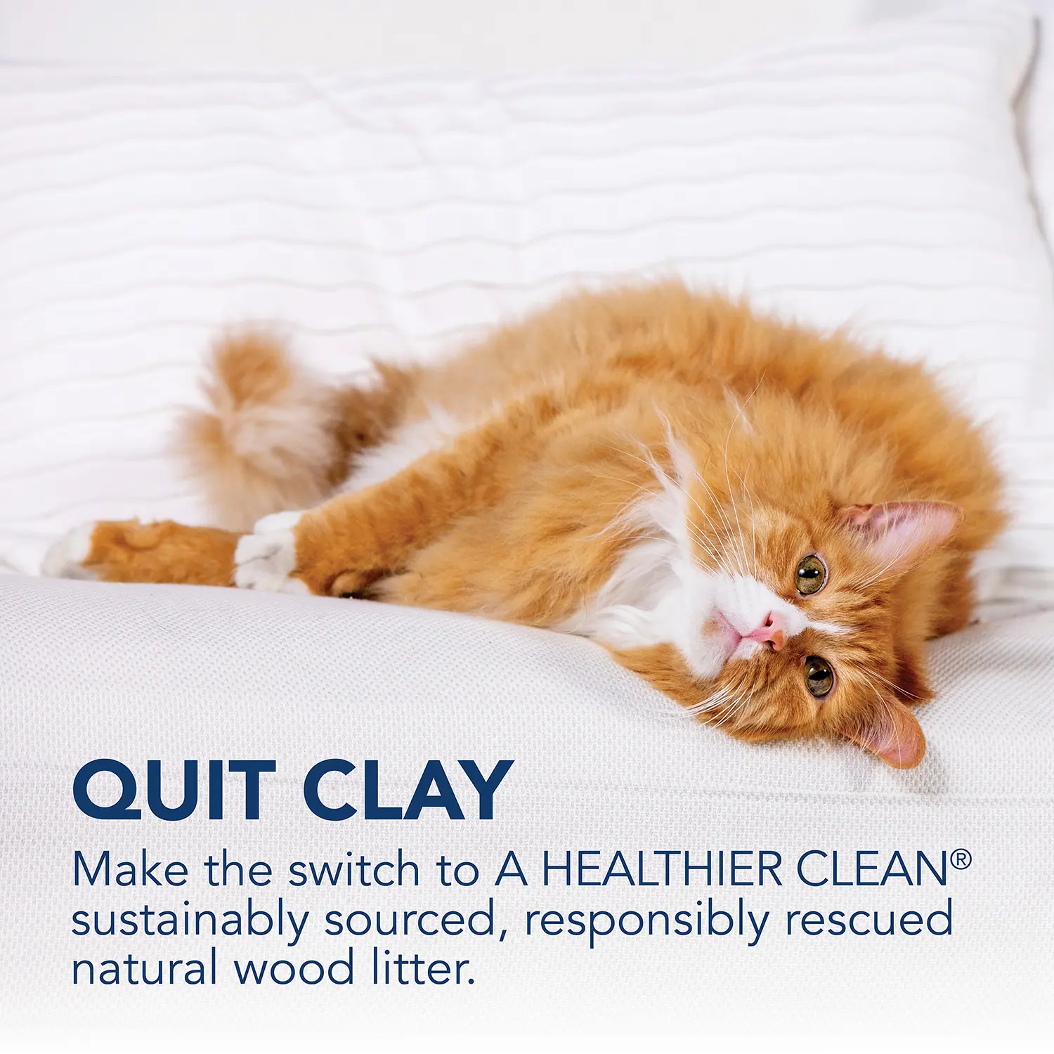 Okocat Low Tracking Clumping Mini Pellets Wood Cat Litter 10-lb - Image 8
