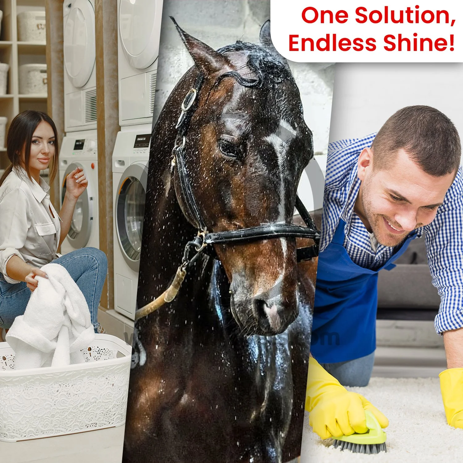 Orvus Wa Paste Cleaner 120-oz - Image 5