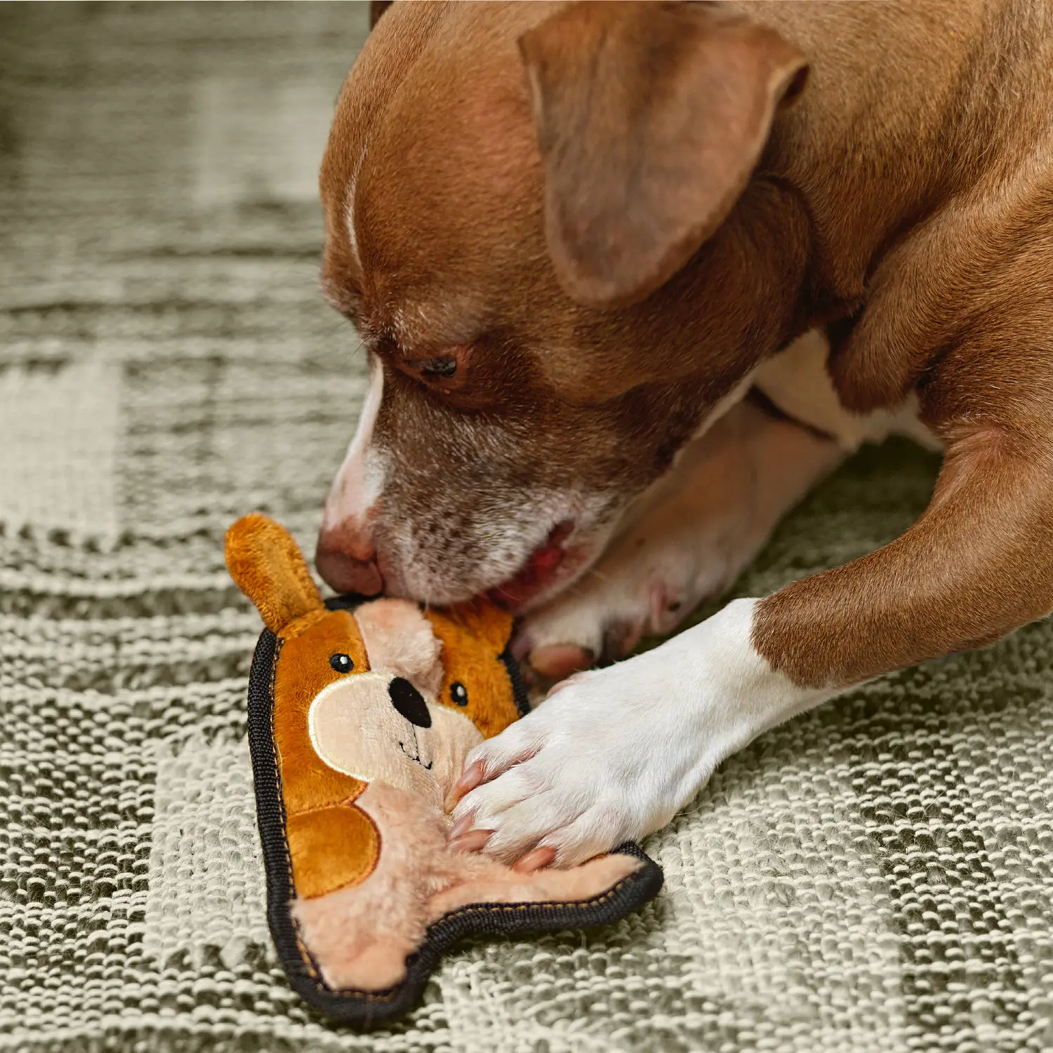 Outward Hound Durablez Puppy Squeaky Plush Dog Toy Brown Extra Small - Image 7
