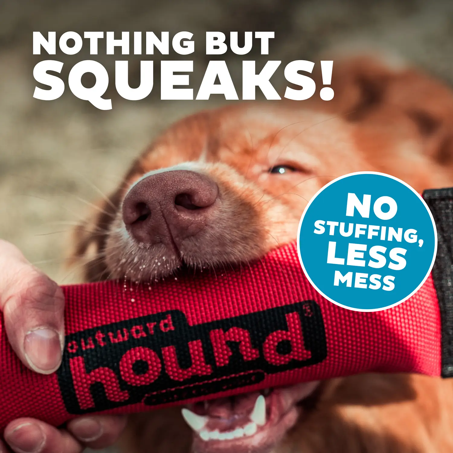 Outward Hound Firehose Squeak N Fetch Dog Toy Medium - Image 5