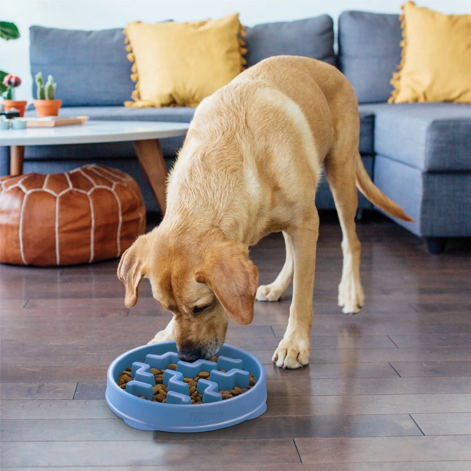 Outward Hound Fun Feeder Interactive Dog Bowl Slow Feeder Blue Large - Image 8
