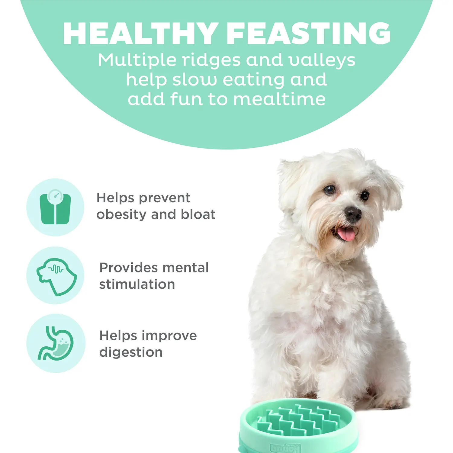 Outward Hound Fun Feeder Interactive Dog Bowl Slow Feeder Mint Extra Small - Image 5
