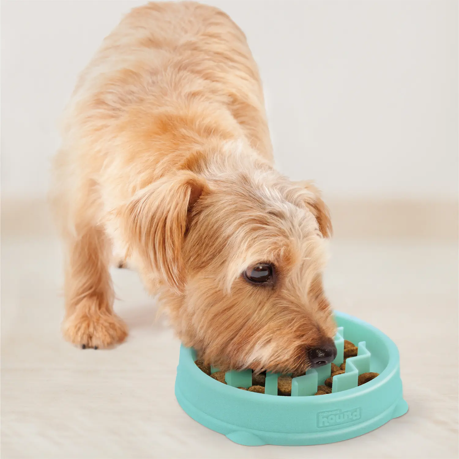 Outward Hound Fun Feeder Interactive Dog Bowl Slow Feeder Mint Extra Small - Image 9