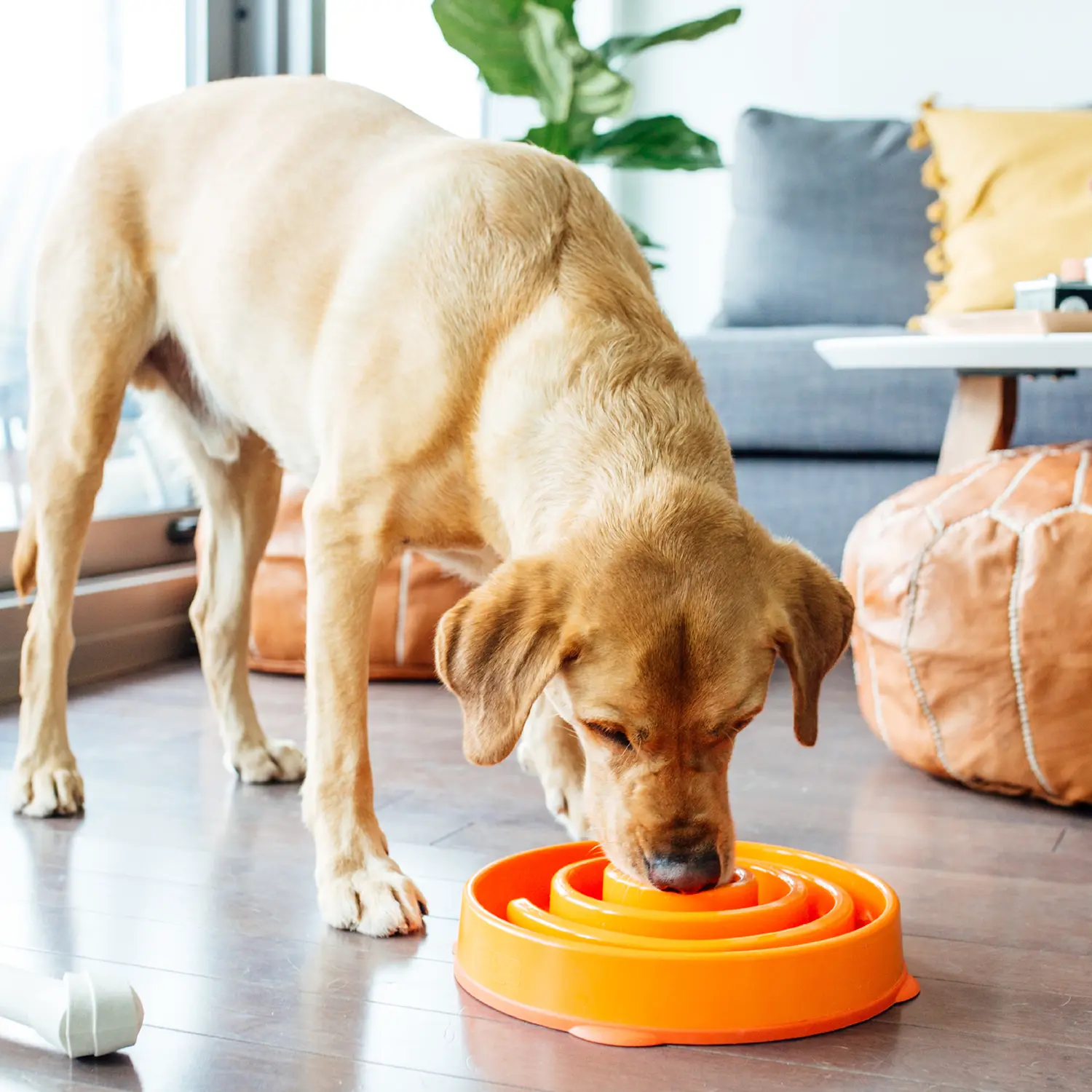 Outward Hound Fun Feeder Interactive Dog Bowl Slow Feeder Orange Large - Image 9
