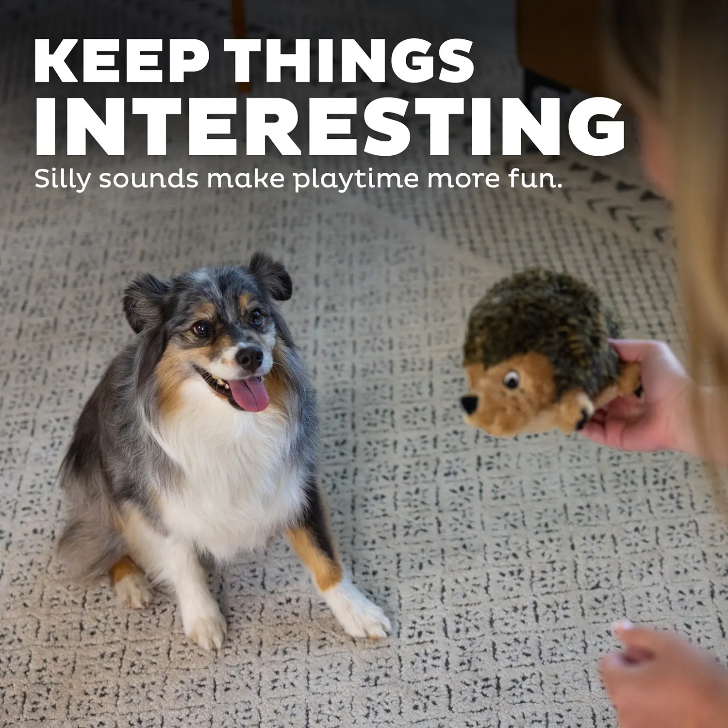 Outward Hound Hedgehog Dog Toy Medium - Image 5