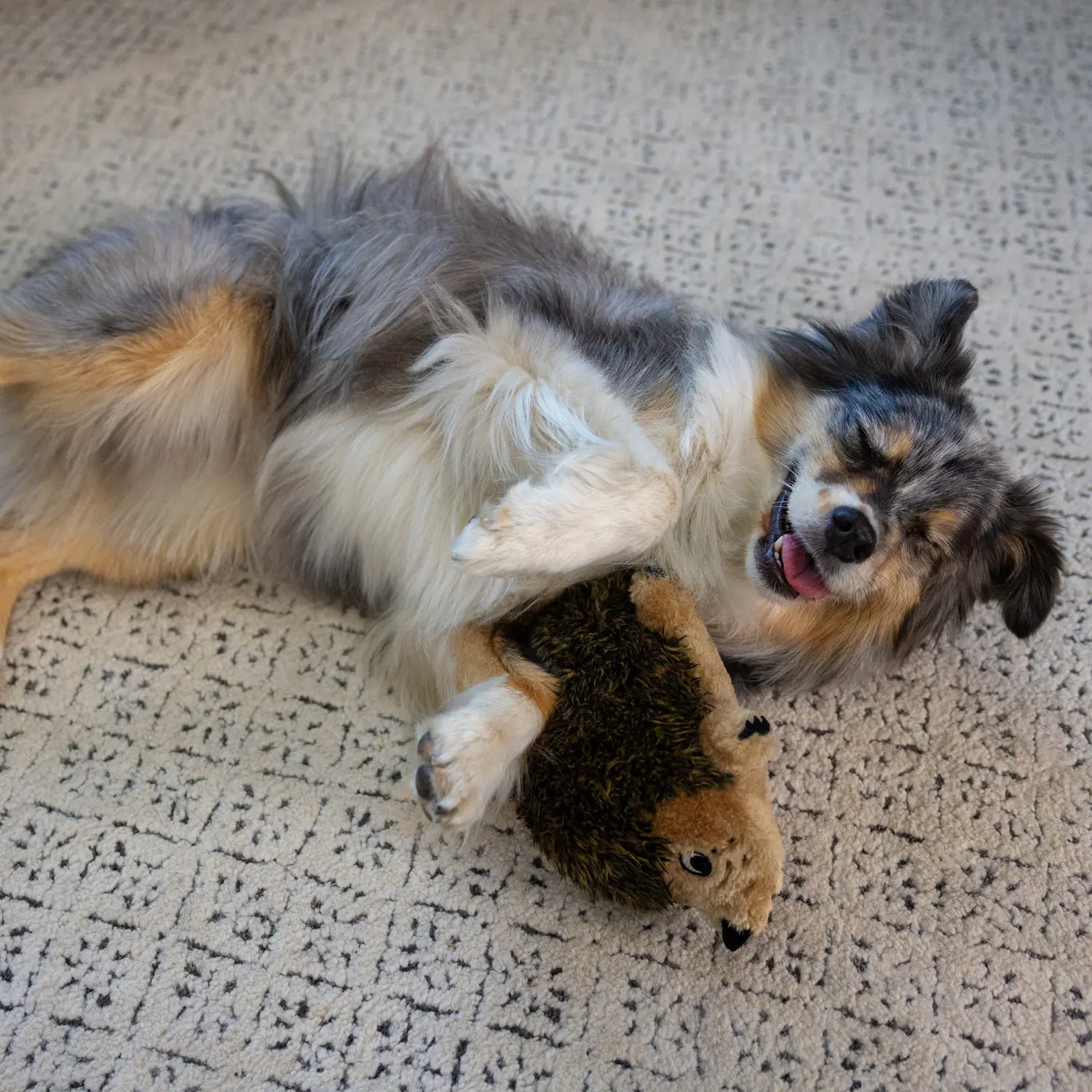Outward Hound Hedgehog Dog Toy Medium - Image 7