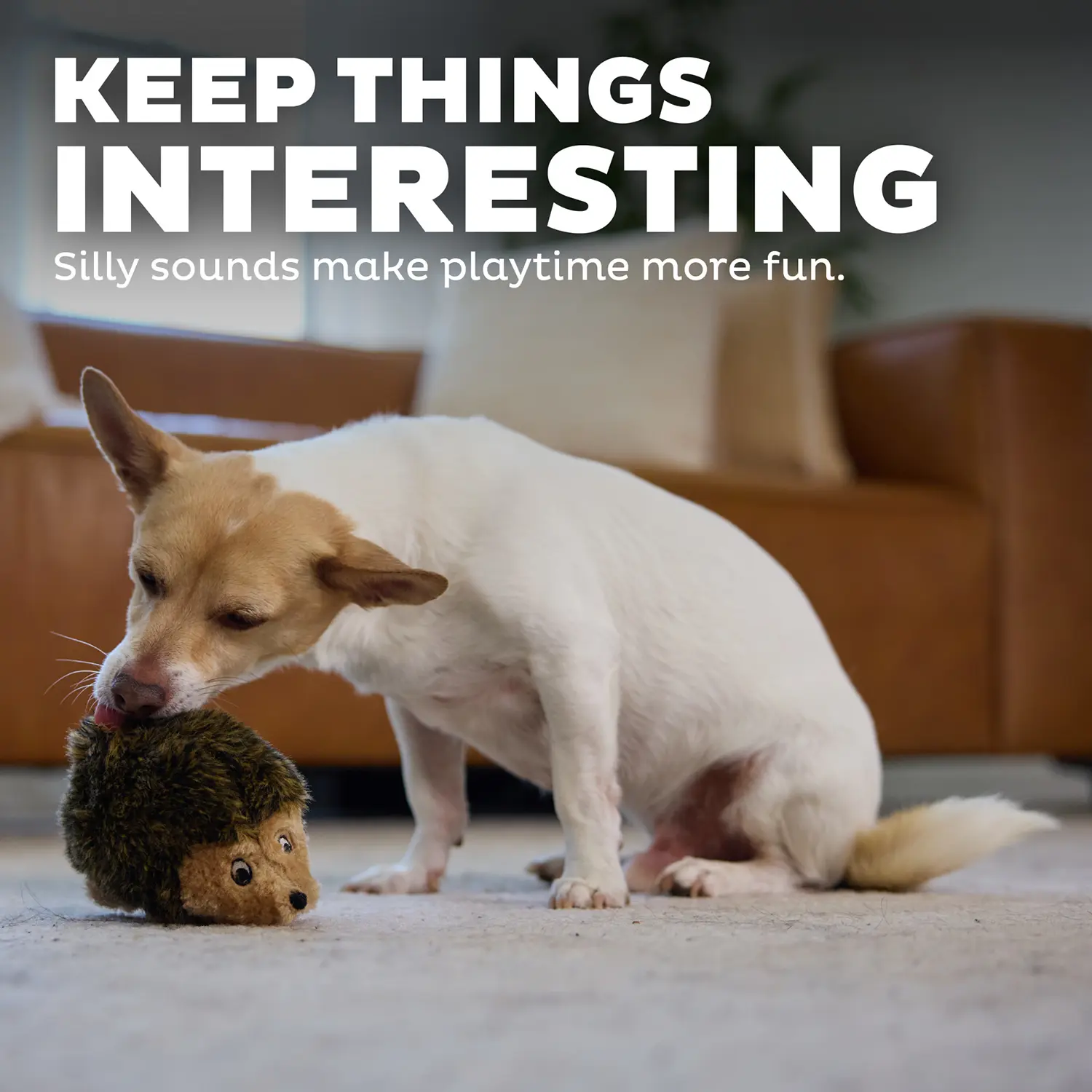 Outward Hound Hedgehog Dog Toy Small - Image 5