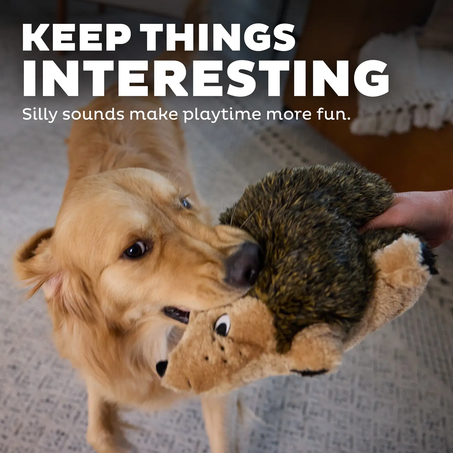 Outward Hound Hedgehog Dog Toy Large - Image 5