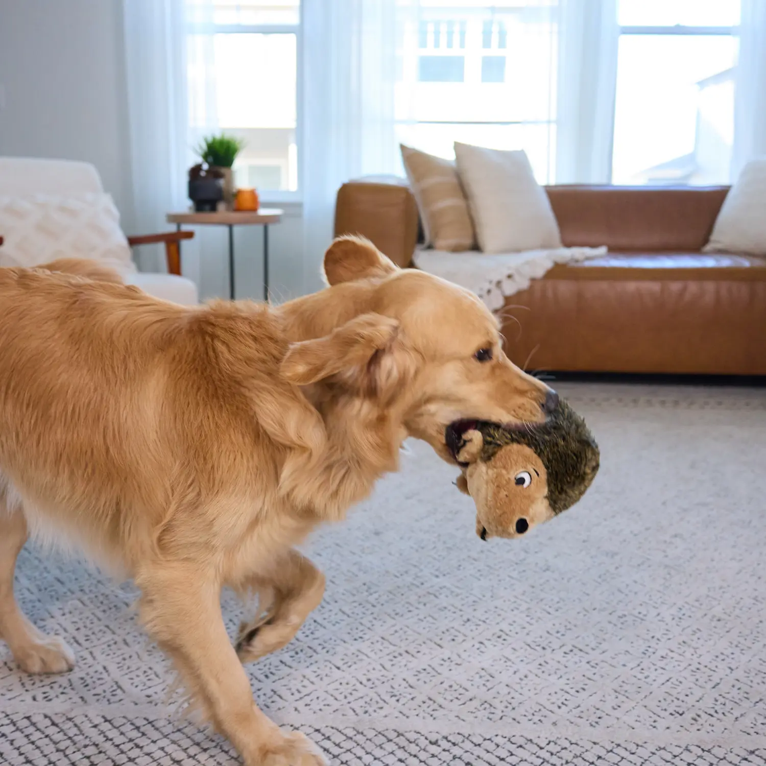 Outward Hound Hedgehog Dog Toy Large - Image 7
