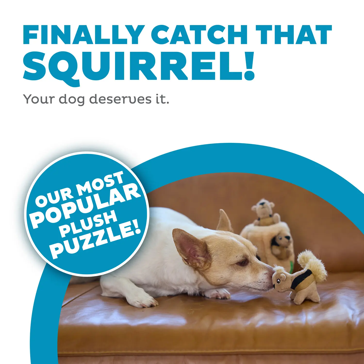 Outward Hound Hide-A-Squirrel Dog Toy Small - Image 4