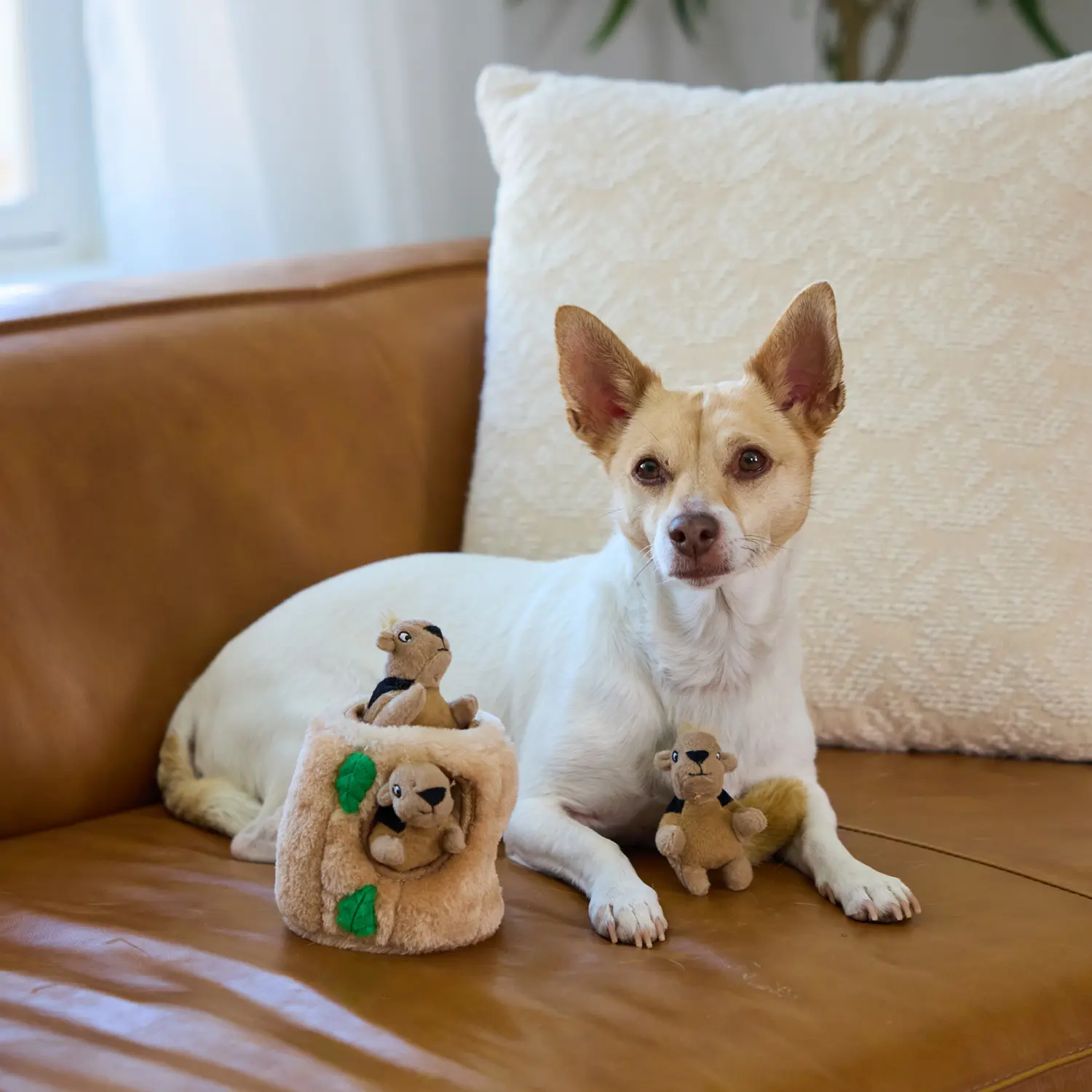 Outward Hound Hide-A-Squirrel Dog Toy Small - Image 8