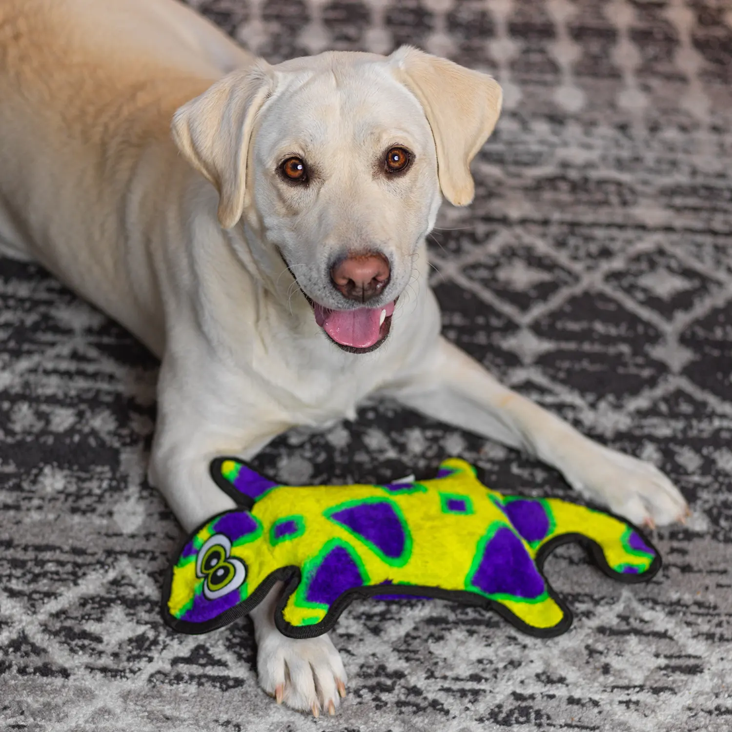 Outward Hound Invincibles Durablez Gecko Dog Toy Yellow & Green Large - Image 8