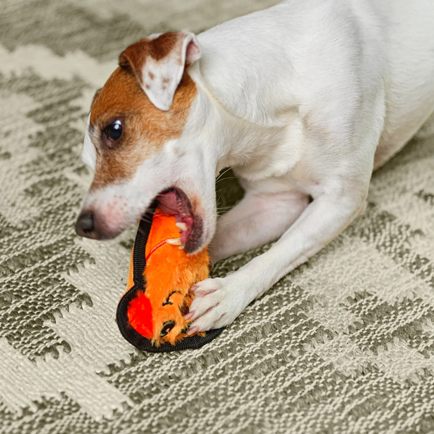 Outward Hound Invincibles Mini Dog Toy Dog XS - Image 7