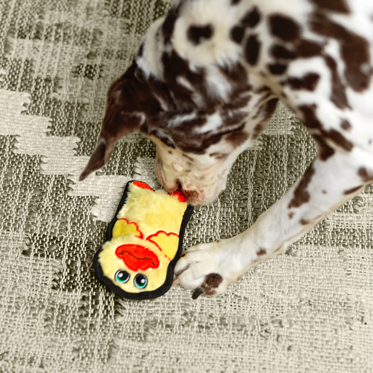 Outward Hound Invincibles Mini Dog Toy Duck XS - Image 7