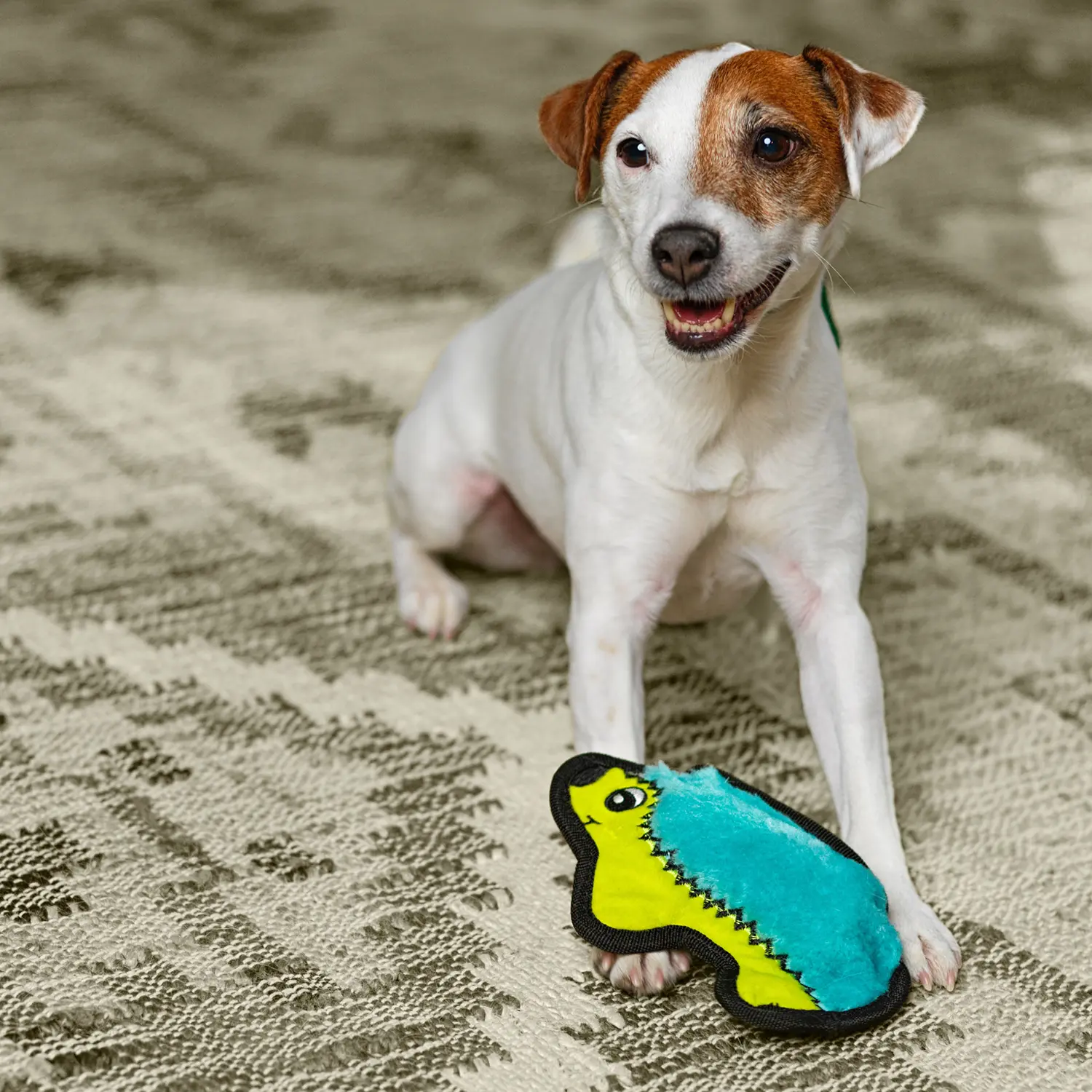 Outward Hound Invincibles Mini Dog Toy Hedgehog XS - Image 7