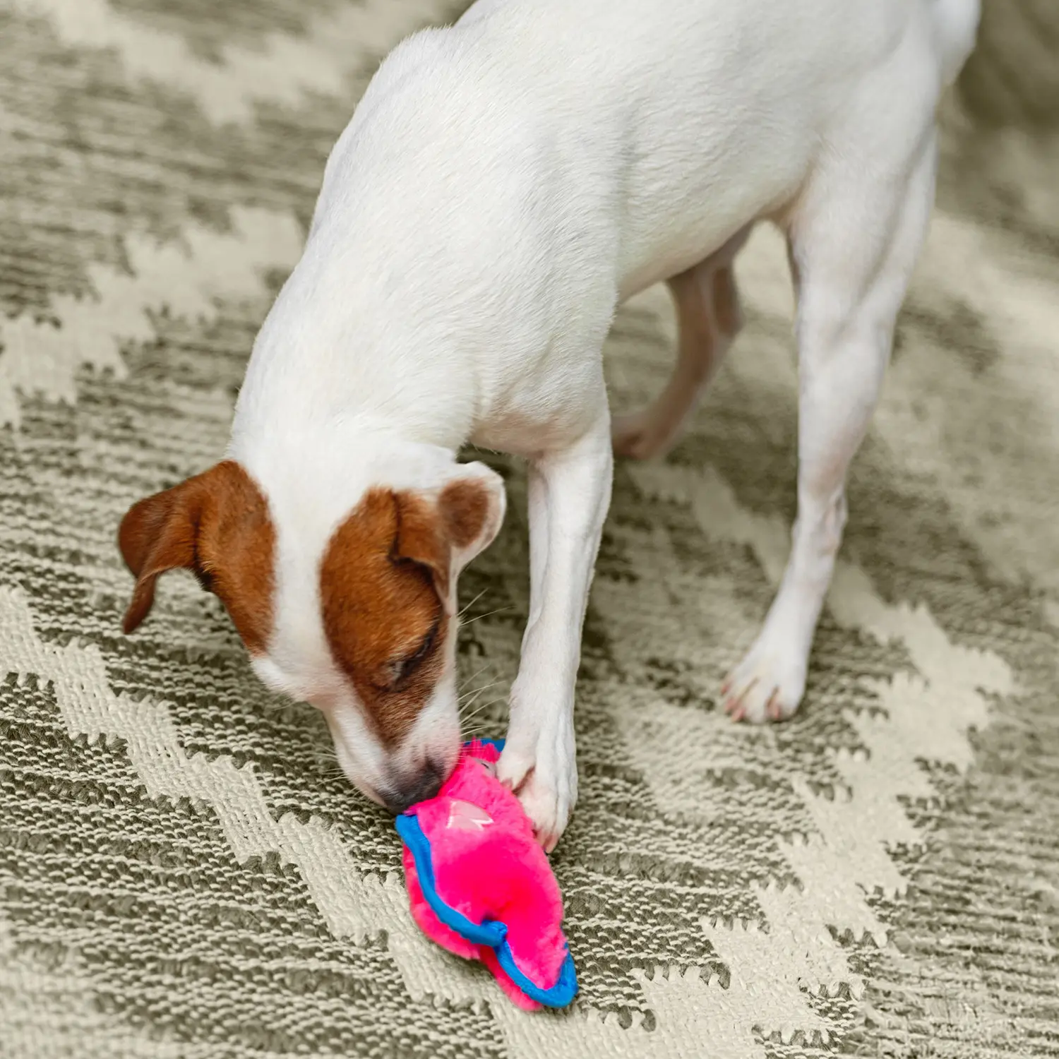 Outward Hound Invincibles Mini Dog Toy Pig XS - Image 6